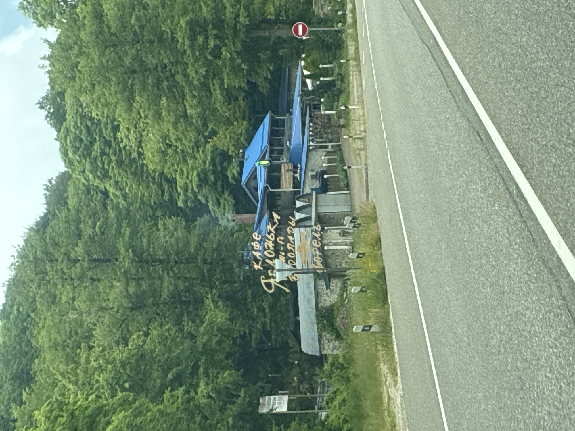 The image shows a cafe named "Zelionka" with blue roofs, located in the city of Arkhipo-Osipovka, Russia. The cafe is situated alongside a road, with a dense forest forming the background. A sign with "Wi-Fi" is visible. In front of the cafe, there is a small sign with a drawing of a fish and the word "Forel", indicating that trout is served. A circular red and white sign prohibiting entry is visible on the right side of the road. The road appears to be asphalt, with white lane markings. The overall environment is rural, with lush green trees.