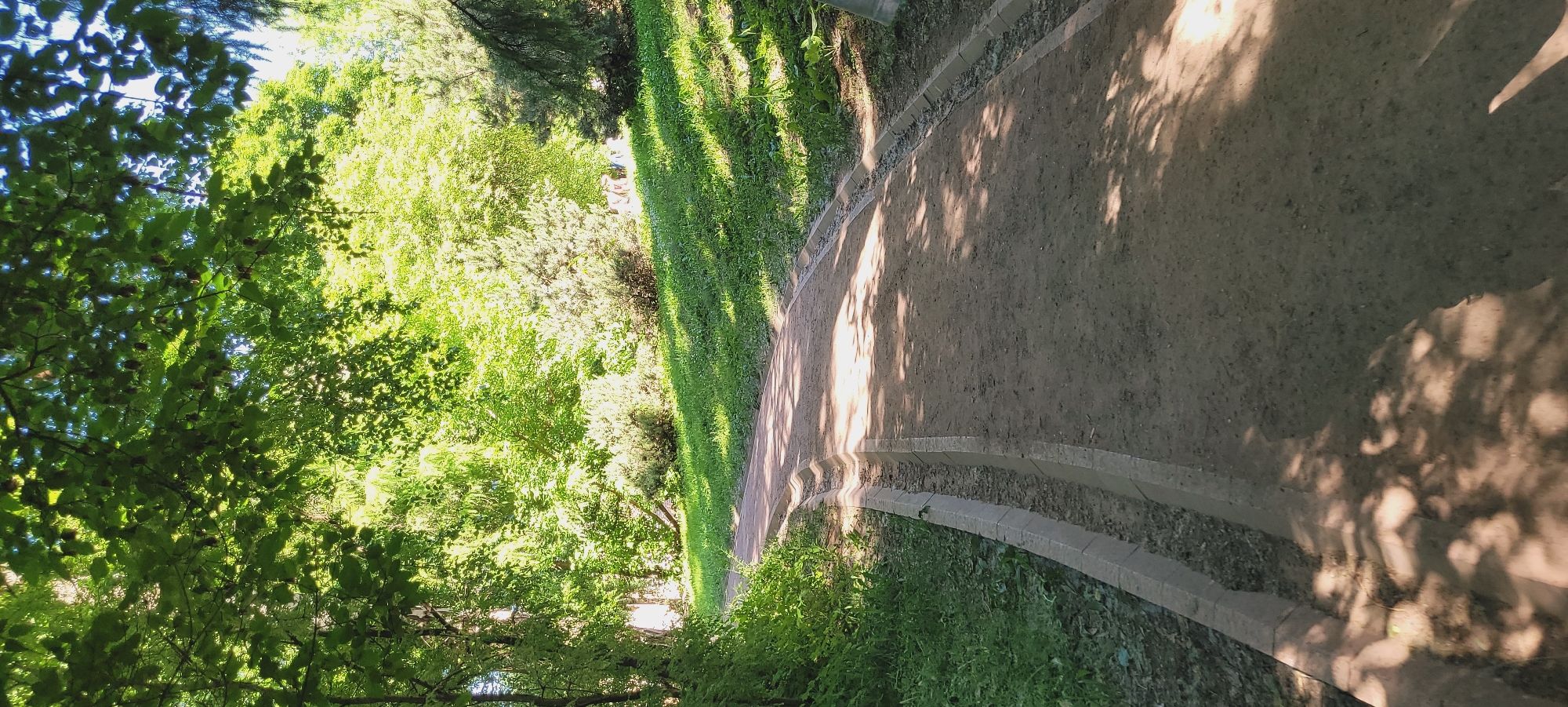 The image presents a sunlit, unpaved pedestrian path winding through a lush green park in the city of Moscow, Russia. The path, composed of light brown earth or fine gravel, gently ascends and curves to the left from the foreground. It is bordered on both sides by concrete curbing, with a distinct, shallow drainage channel running alongside the left edge of the path. Overhead, a dense canopy of vibrant green deciduous leaves filters bright sunlight, casting intricate, dappled shadows across the path and the surrounding ground. The park landscape features a variety of trees and bushes with rich green foliage. A grassy slope rises on the right side of the path, covered in bright green turf and interspersed with shrubs. No individuals or animals are visible within the frame, and there are no discernable man-made structures other than the path and its curbing. The scene depicts a natural, well-maintained park environment under clear, sunny conditions.