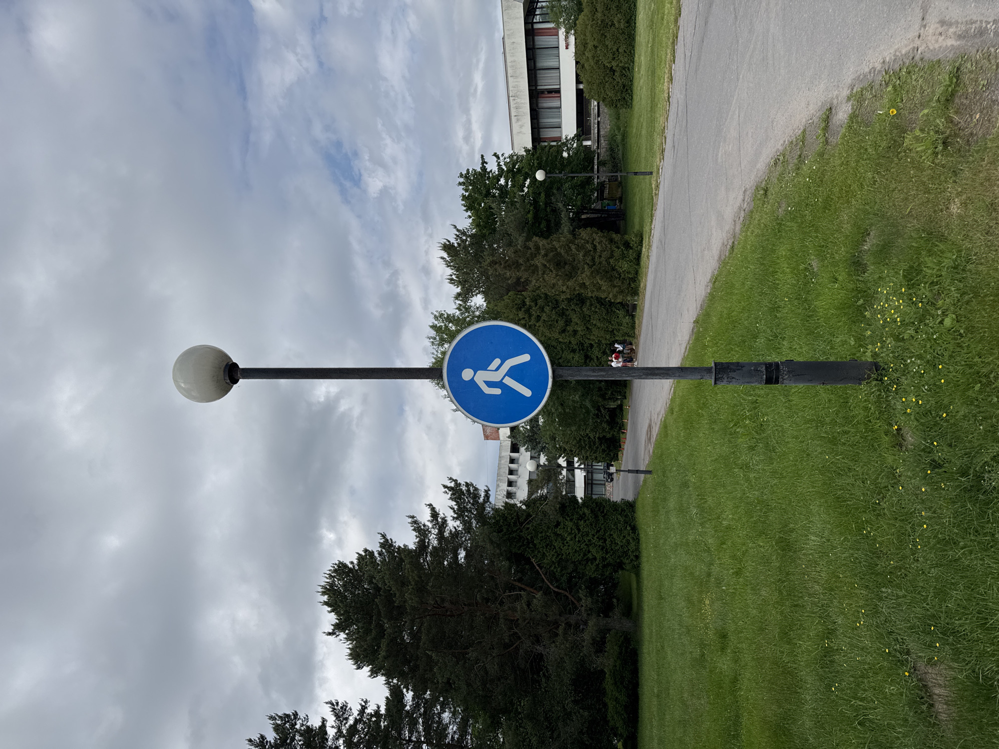 A pedestrian crossing sign is mounted on a lamp post in a grassy area next to a paved path. The sign is a blue circle with a white silhouette of a person walking. The lamp post is tall and black with a round, white light at the top. In the background, there are trees and buildings. The sky is cloudy. The scene appears to be in an urban or suburban park area in Sestroretsk, Russia. A group of people are visible in the distance, walking on the path.