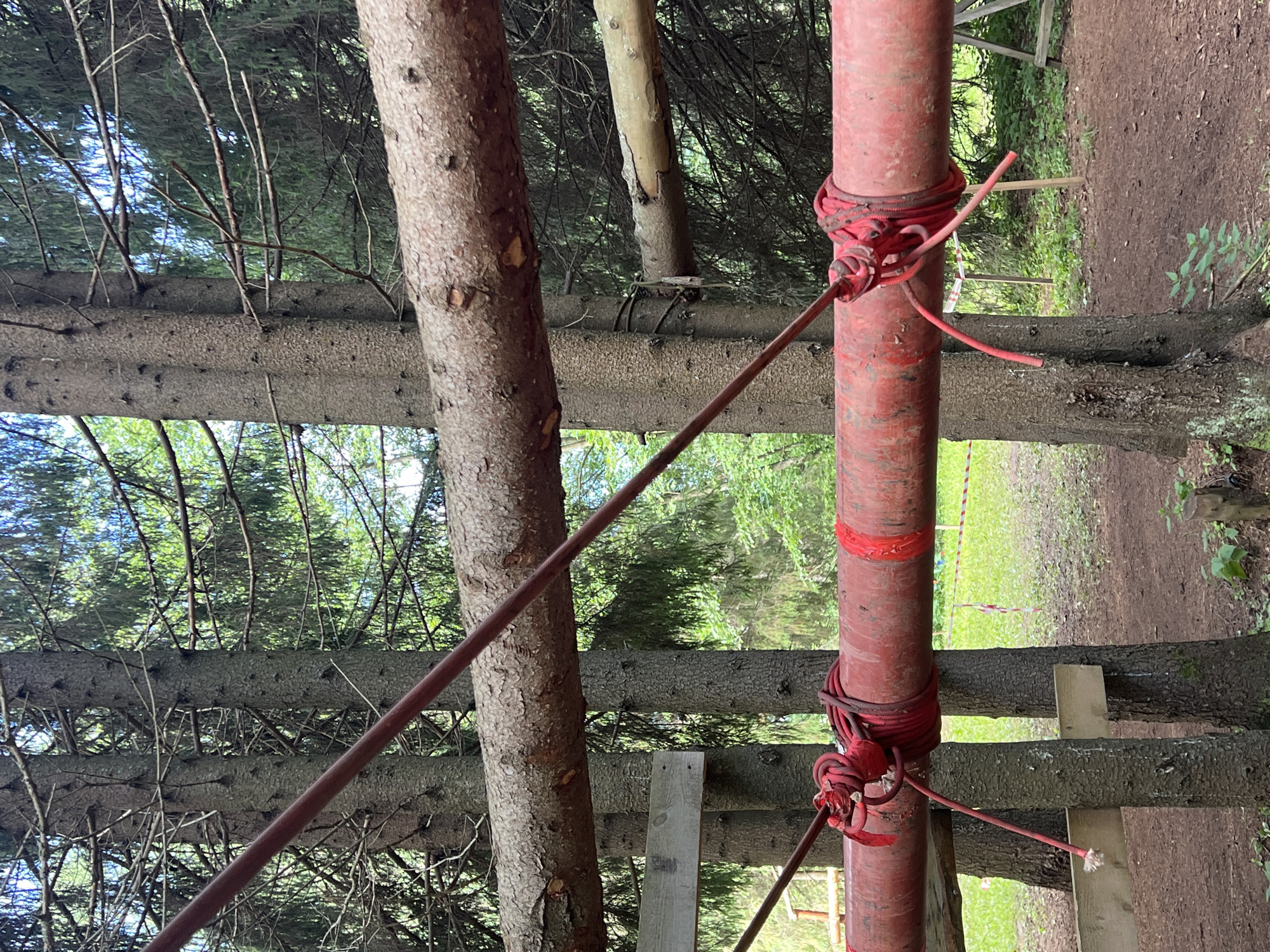 In the provided image, a section of an adventure park obstacle course is visible, set within a forested area. Two mature pine trees serve as natural supports for a horizontal red pipe, which is secured by thick red ropes. Above this, a natural log is also suspended horizontally between the trees, likely part of another element of the course. The ground below is covered in loose dirt and some sparse vegetation, with a distant glimpse of a grassy area marked by red and white caution tape, indicating the boundaries of the park. The overall scene suggests a rugged, outdoor recreational environment in the city of Sergino, Russia, with no people or animals present in the frame.