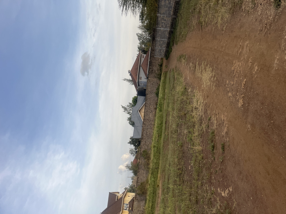 A dirt path stretches into the distance, flanked by grassy areas. Brick walls run parallel to the path on the left, separating it from residential houses. The houses have varied rooflines. Above, the sky transitions from blue to pale white, with sparse clouds. Trees are seen behind the walls, lining the horizon.