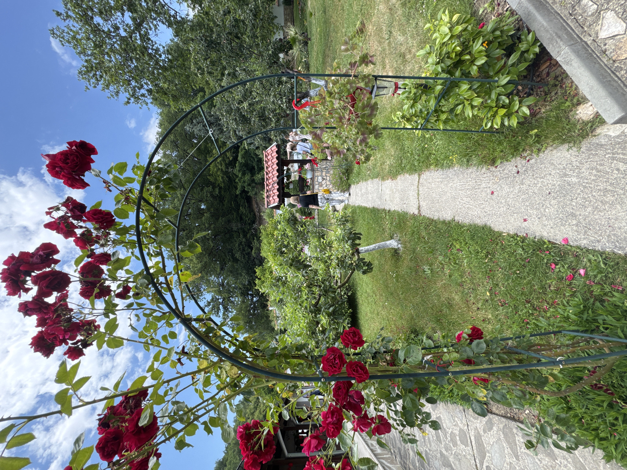 The scene depicts a well-maintained garden path within Melnik, Bulgaria, on a clear, sunny day. A concrete pathway extends from the foreground into the midground, flanked by grass lawns. On the left, a vibrant red climbing rose plant with green foliage densely covers a green metal archway, under which the path passes. Numerous red rose petals are scattered on the grass and edge of the path.
In the midground, a woman with blonde hair, wearing a black shirt and white and black striped pants, walks away from the viewer on the path, carrying a yellow bag. Ahead of her and slightly to the right of the path, a stone well structure with a distinctive red-tiled gabled roof is visible. Several other individuals are gathered around the well area, partially obscured. To the right of the path, a second section of the green metal archway is present, from which a red pot containing green-leafed plants and a small solar-powered lantern are suspended. Below this, a small evergreen shrub is planted. A concrete curb marks the edge of the garden on the far right.
The environment is characterized by lush greenery, including various trees and shrubs bordering the garden area. Dense forested hills are visible in the background, particularly to the left. The sky overhead is bright blue with scattered white cumulus clouds.