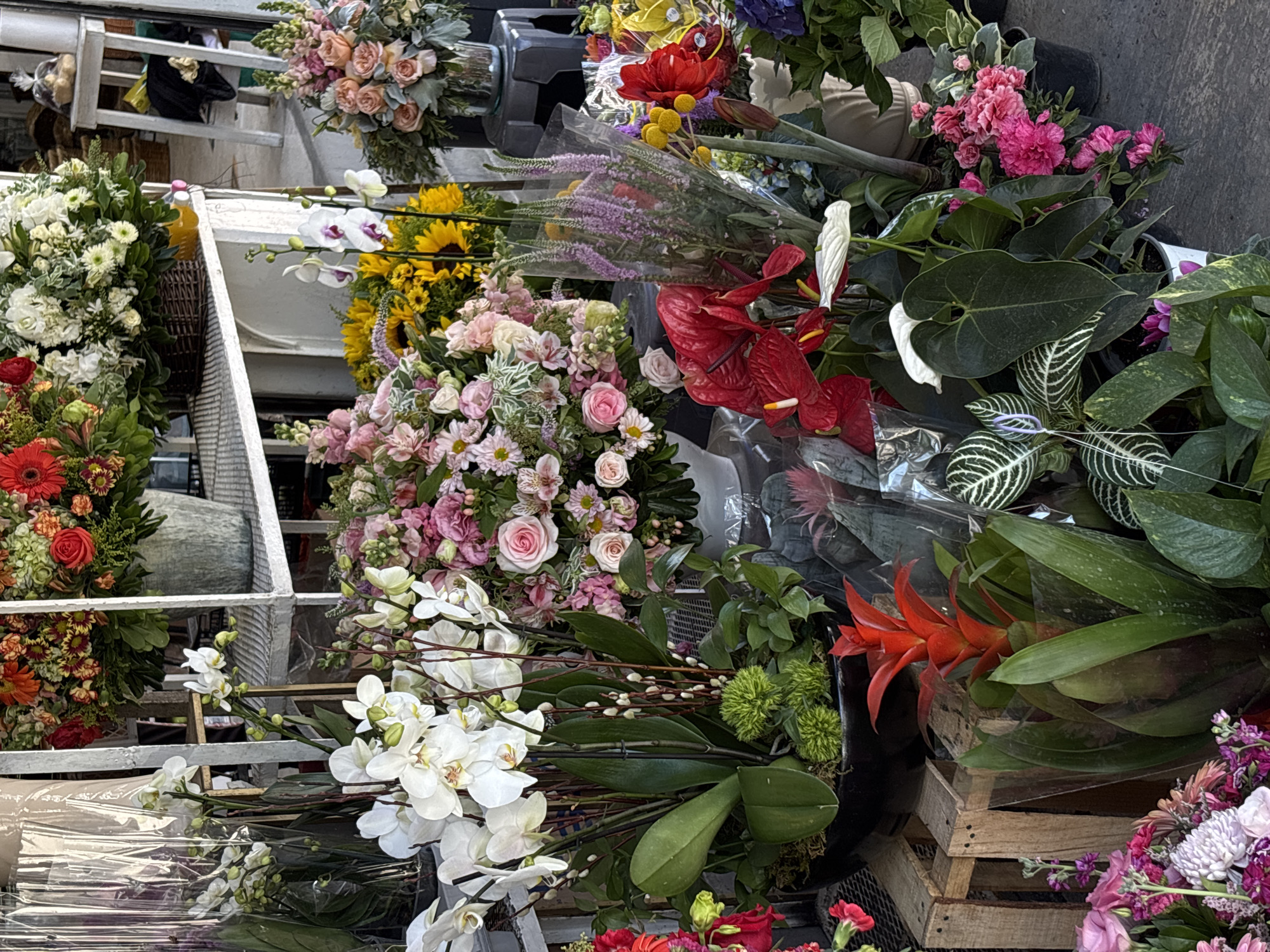 This image presents a vibrant and abundant display of flowers and plants, characteristic of a bustling market stall in Mexico City, Mexico. The scene is densely packed with a wide variety of floral arrangements and potted greens, showcasing a rich tapestry of colors and textures.
In the foreground and midground, numerous bouquets are arranged on various surfaces, including what appear to be white metal shelves and rustic wooden crates. Prominent flowers include large clusters of delicate pink, peach, and white roses, often mixed with smaller white and pink blooms. Bright yellow sunflowers add a cheerful element, while elegant white Phalaenopsis orchids are seen in multiple bouquets, often wrapped in clear plastic. Striking red anthuriums and bright red gerberas provide strong pops of color. Other identifiable plants include purple veronica, green fuzzy spherical flowers, red bromeliads, various lush green foliage plants with striped or plain leaves, and branches of pussy willow.
The display suggests a retail setting where flowers and plants are offered for sale. Many bouquets are individually wrapped in transparent plastic, indicating they are ready for purchase. The lighting is bright and natural, consistent with daytime. While no people are explicitly visible, the arrangement implies an active commercial environment. The overall impression is one of freshness, natural beauty, and the lively atmosphere of a flower market. There is no discernible text visible within the image.