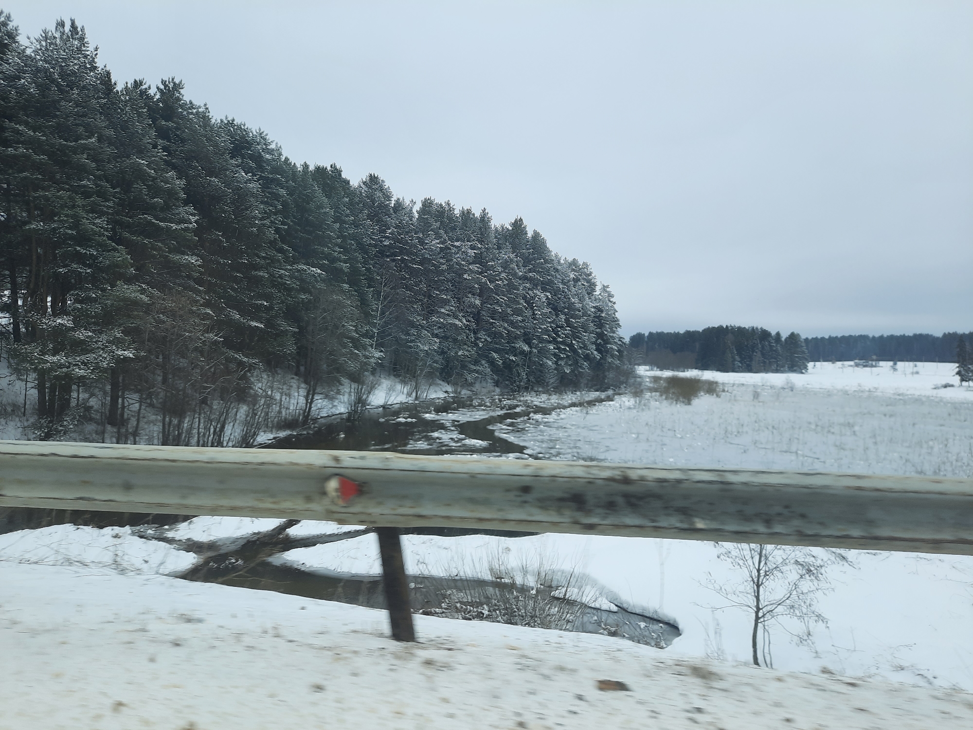 The image shows a winter scene likely taken from a moving vehicle near Krasnogorskoye, Russia. A metal guardrail obscures the foreground view of a snow-covered embankment and a partially frozen river or stream. The river meanders into the distance, bordered by a dense coniferous forest covered in snow on one side and a snow-covered field on the other. The sky is overcast. The scene conveys a sense of cold and isolation.