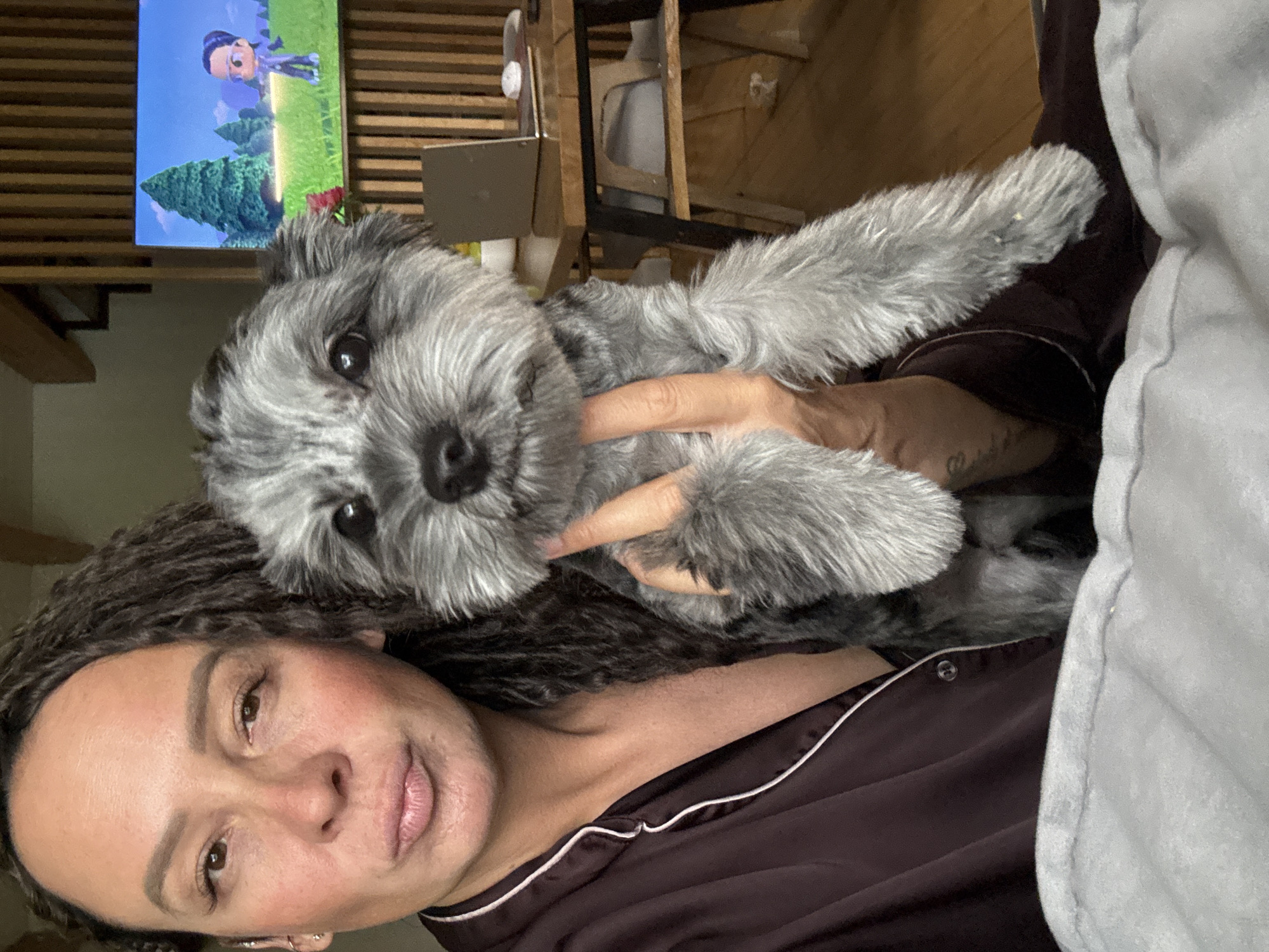An indoor selfie captures an adult female holding a small, shaggy grey and black dog. The woman, exhibiting a direct gaze and slightly pursed lips, has dark dreadlocks and is wearing a dark maroon satin-like pajama top with white piping. A subtle piercing is visible on her left ear. The small dog, held securely by the woman's right hand, also looks directly towards the camera.
In the background, a flat-screen television displays a colorful animated scene depicting a large green pine tree, green grass, and a stylized character in a purple outfit, indicative of a video game or cartoon. Adjacent to the television, an open silver laptop and a white computer mouse are situated on a wooden table with black metal legs. The immediate backdrop features a distinct wooden slatted wall or partition. A light grey blanket or bedding occupies the bottom foreground of the image. The precise geographical location in the city of Chaikovsky, Russia, is not ascertainable from the visual content of the image.