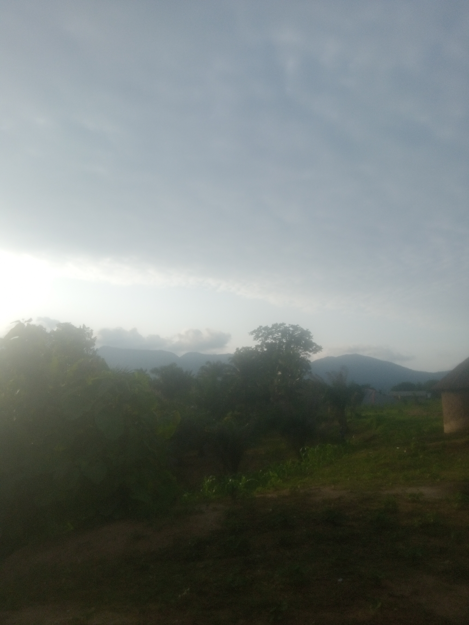 This is a vertical, wide-angle photograph of a rural landscape in Serti, Nigeria, under a bright, overcast sky. The image is dominated by a soft, diffused light, suggesting it was taken either early in the morning or late in the afternoon.
In the foreground, dense, dark green foliage creates a shadowy mass, obscuring the ground. The plants appear lush and varied, with some large, broad leaves visible. To the right, a portion of a traditional thatched-roof structure is visible, hinting at a settlement within the area.
Beyond the dense vegetation, a gently sloping hill forms the midground, dotted with more trees. The trees vary in size and density, with a prominent, mature tree standing out on the left side of the midground. Further back, a range of mountains forms the horizon, their peaks softened by the atmospheric haze and the diffused light. The sky above is a pale, washed-out blue, with hints of thin clouds.
The overall impression is one of serene natural beauty and a tranquil rural setting. There is no visible text or discernible activity, focusing entirely on the static landscape. The lighting conditions suggest a peaceful and perhaps cool moment of the day.