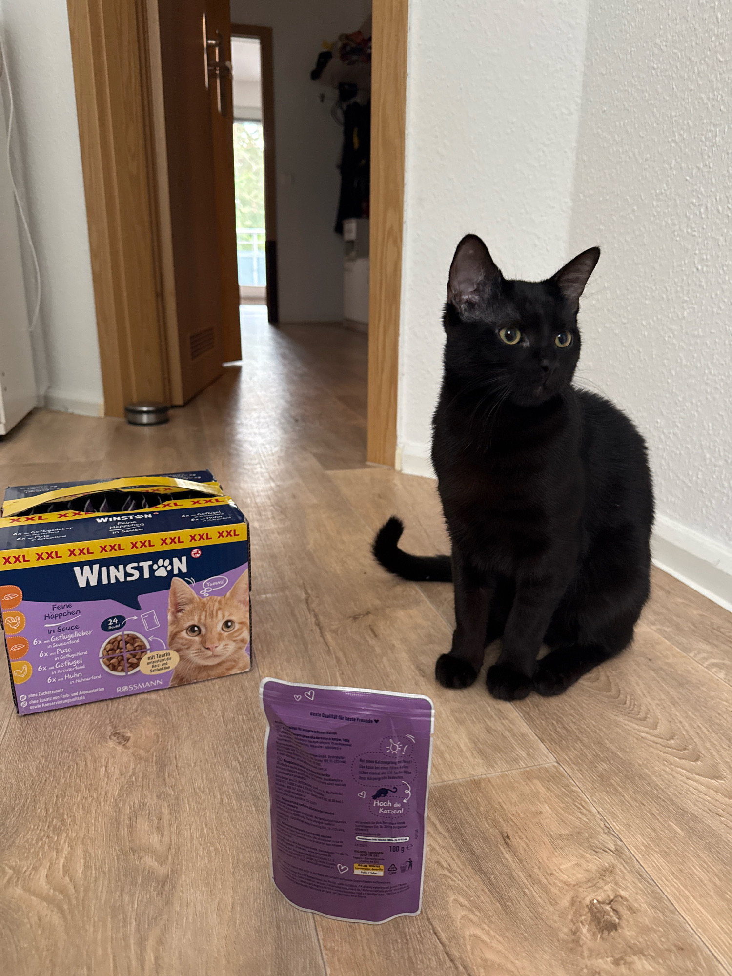 A black cat is sitting on a light-colored wooden floor indoors, looking to its right. In front of the cat, there is a large box of Winston brand cat food, featuring a picture of an orange tabby cat. To the right of the cat food box, there is a small purple pouch of cat food. The background shows a doorway leading to another room, with a glimpse of a window and some items hanging on a wall in the distance. The scene is located inside a residential setting.
