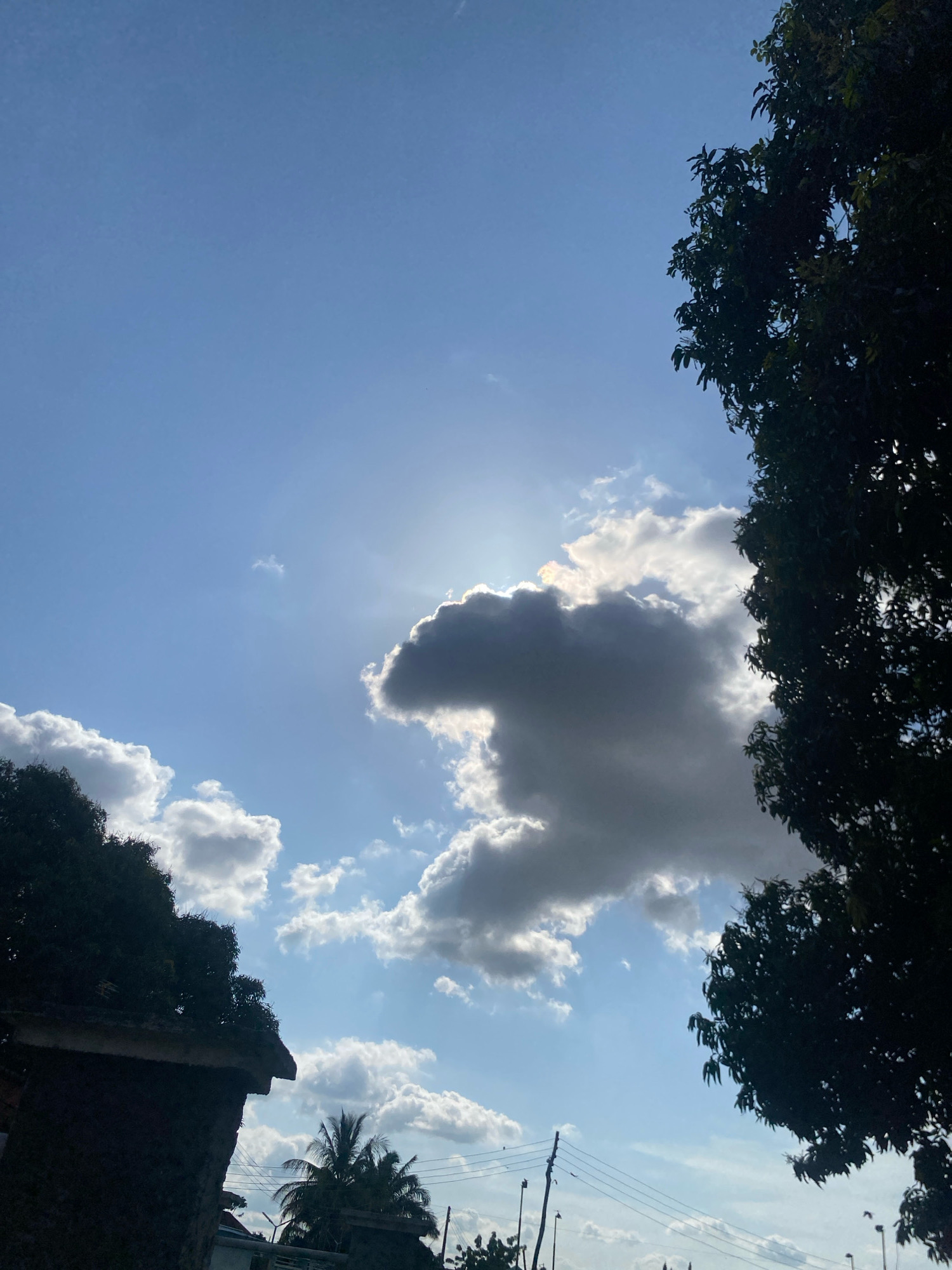 The image shows a bright blue sky with scattered clouds, some of which are dark and dramatic, while others are white and fluffy. The sun is partially obscured by one of the darker clouds, casting rays of light through the sky. On the right side of the image, the dark silhouette of a large tree with dense foliage dominates the frame. On the left, the edge of a building, possibly a house, is visible, also in silhouette. Below the building and in the distance, some palm trees and utility poles can be seen, suggesting an urban or suburban environment. The overall impression is a snapshot of a sky with interesting cloud formations and encroaching foliage, potentially taken during a sunny but cloudy day in Barden Yana, Nigeria.
