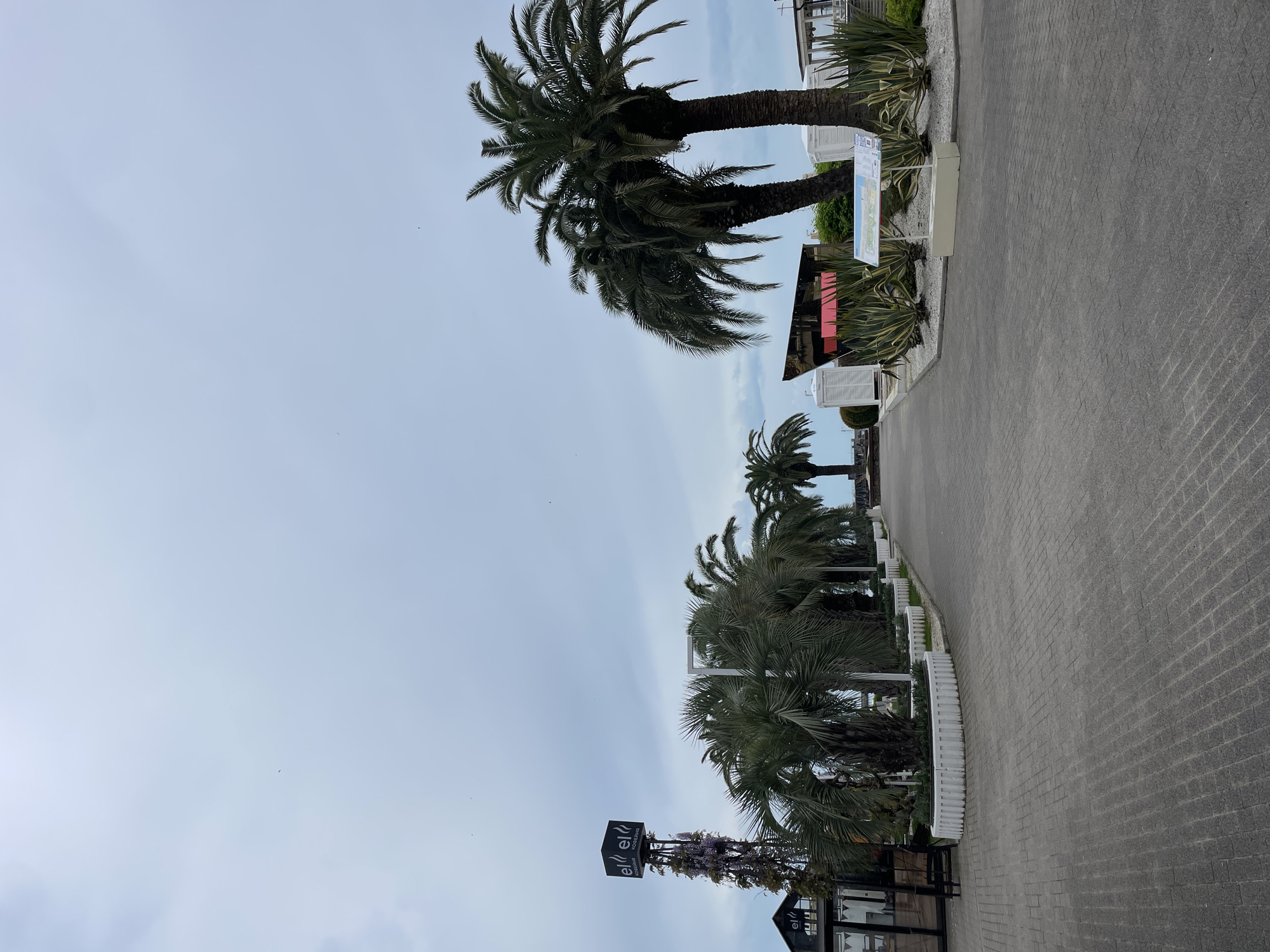 The image depicts a paved path lined with palm trees in Sochi, Russia. The path is made of gray bricks and runs along a white, curved fence. The palm trees are of varying sizes and are situated between the fence and the path. In the background, there are buildings and signs, including one with the "el" logo. The sky is overcast with a light gray color. There are no visible people in the image.