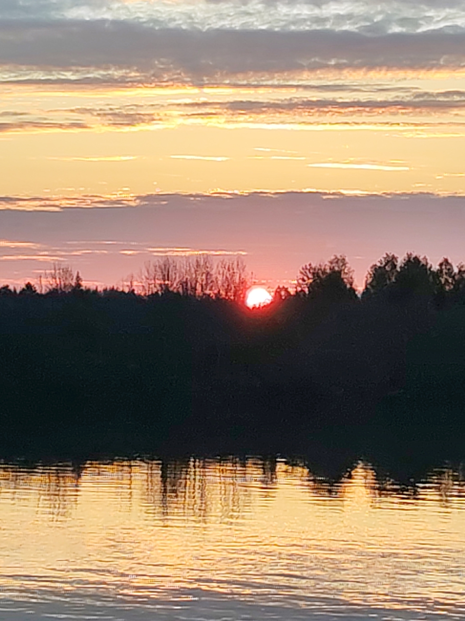 The image depicts a sunset over water. The sun, a reddish-orange orb, is partially obscured by a dark treeline in the middle ground. The water reflects the colors of the sky, creating a shimmering effect. The sky features layers of orange, yellow, pink, and gray clouds. The location is unknown.