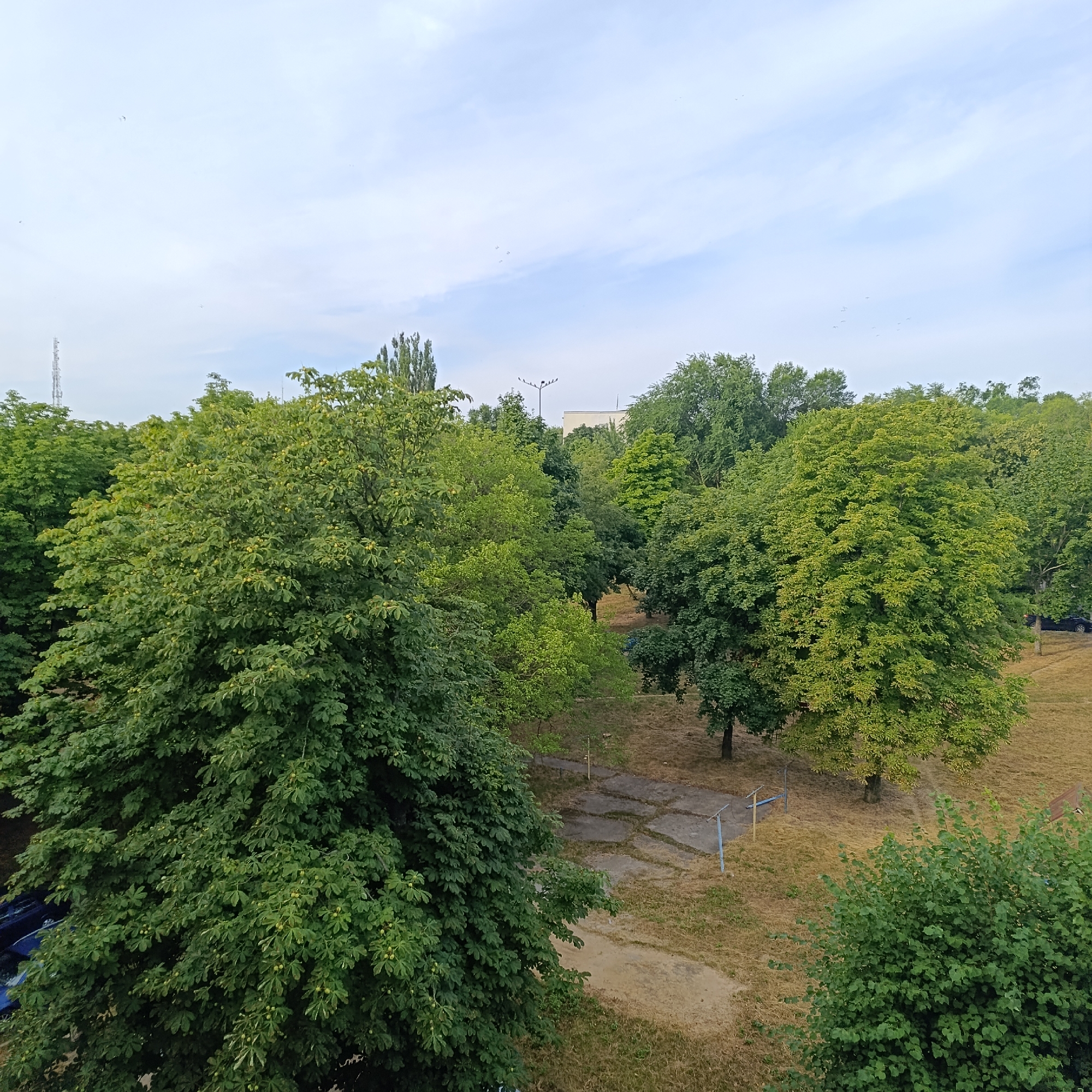 The image depicts an outdoor scene with lush green trees dominating the foreground and midground. The trees are a mixture of deciduous varieties, with dense foliage. In the background, a communication tower and a building are visible. The ground appears to be dry grass and some concrete paths, suggesting an urban park or a courtyard area. A dark-colored car is parked on the right side of the image. The sky is overcast with some scattered clouds. There are no people visible in the image. The scene is likely located in Ladyzhyn, Ukraine, given the context provided.