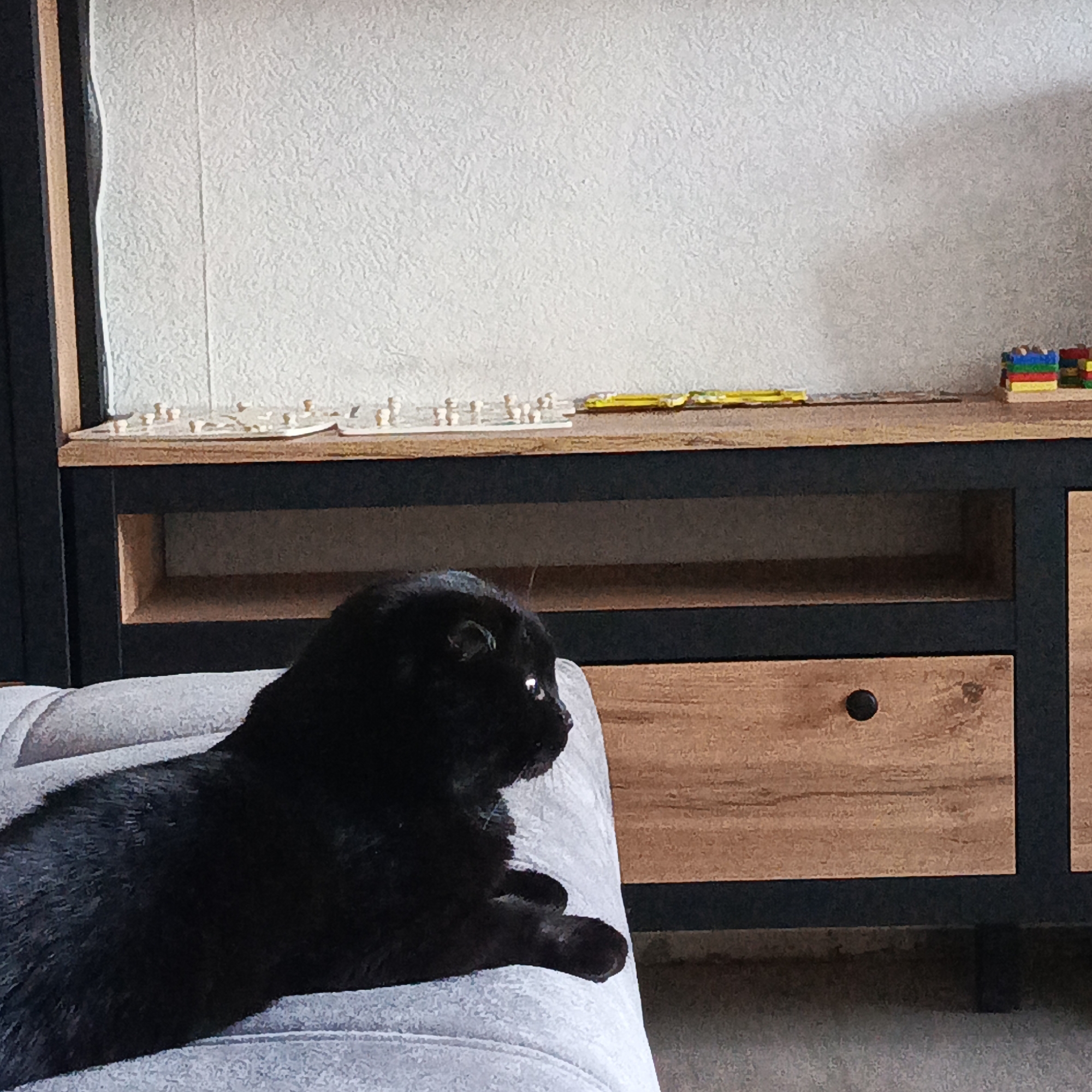 A black cat rests on a light gray upholstered surface in front of a wooden and black metal cabinet. The cabinet has an open shelf and a drawer with a black knob. On top of the cabinet are white chess pieces, a yellow object, and a stack of colorful building blocks. The background consists of a light-colored textured wall. The location is Марковский, Russia.