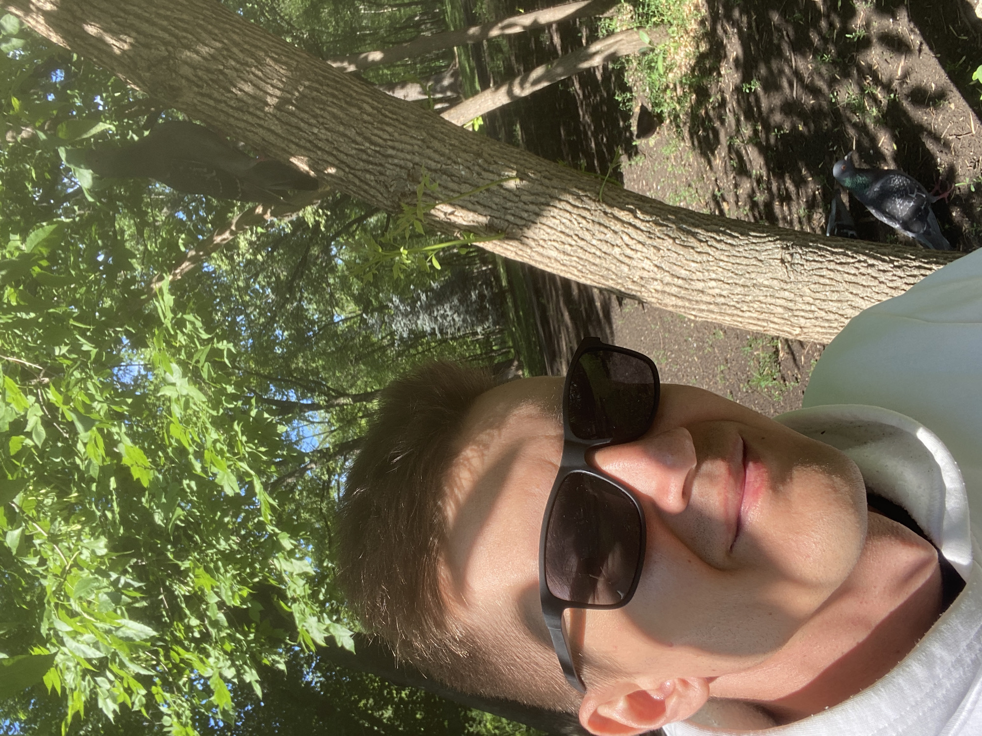 A medium shot selfie shows a person wearing sunglasses and a light-colored hooded sweatshirt, partially obscured by a tree trunk. The person's face is illuminated by dappled sunlight filtering through the leaves of a large tree canopy. The background reveals a park environment with more trees, a dirt path, and patches of grass. Two pigeons are visible on the ground near the base of the tree, one of which is in focus and displays iridescent neck feathers. The scene is set outdoors on a sunny day. The location is identified as Novokuybyshevsk, Russia.