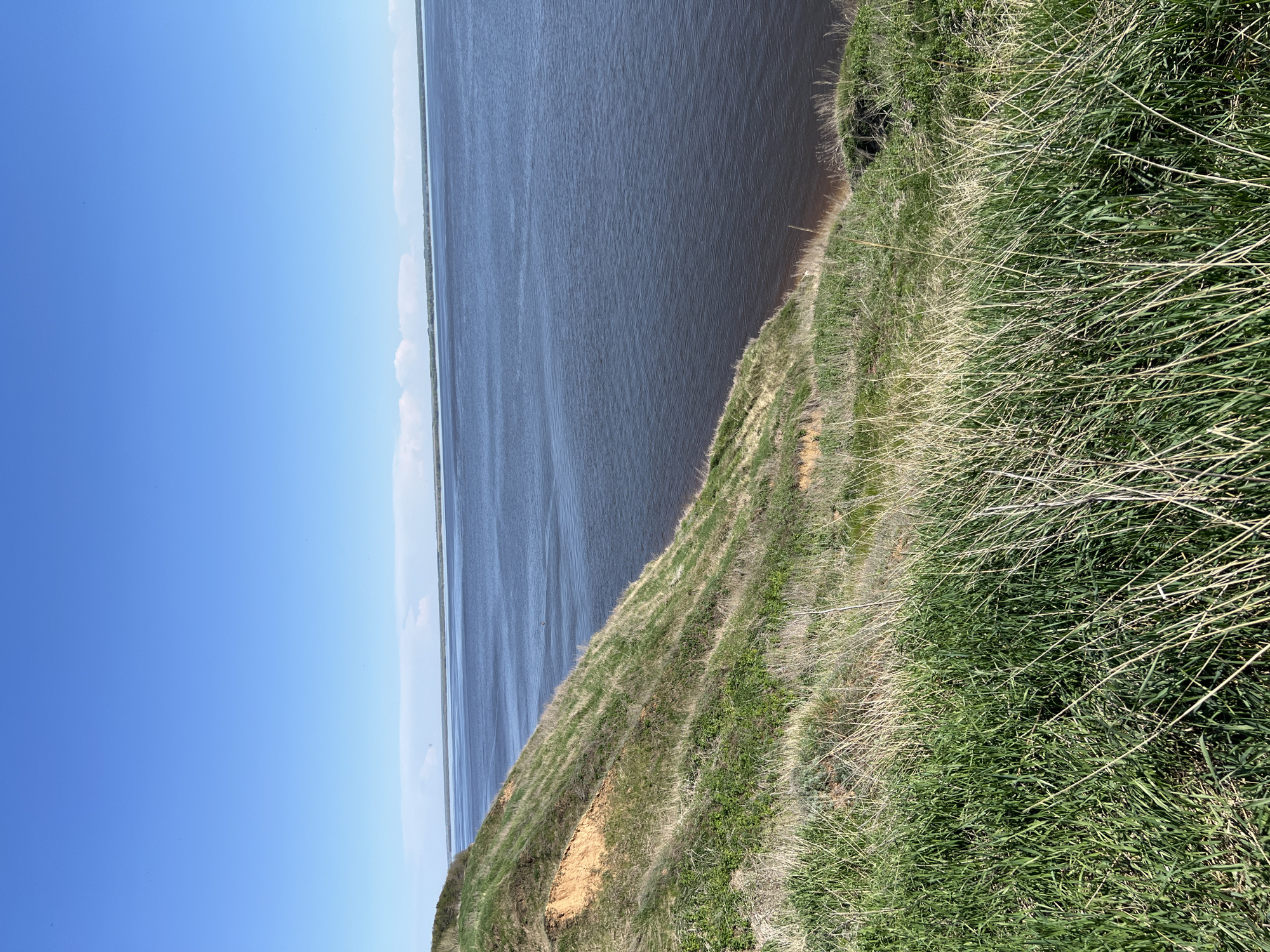 The image presents a view from a grassy embankment overlooking a body of water under a clear blue sky. The embankment descends towards the water's edge, revealing patches of exposed soil. The water appears dark and wide, possibly a river or lake, stretching to the horizon. The location is unspecified but presumed to be in Шуран, Russia.