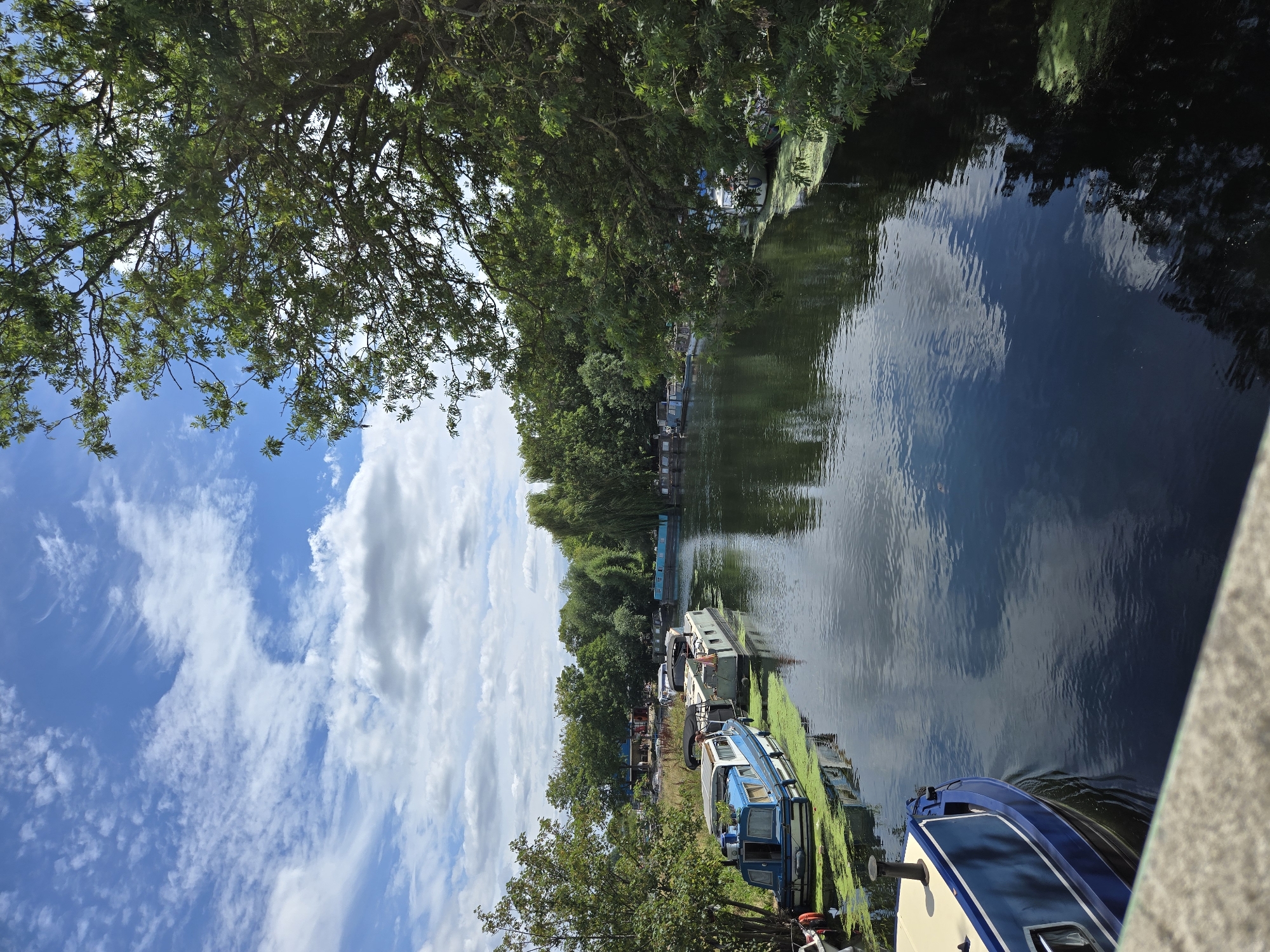 This image depicts a tranquil scene on a canal, likely in the Camden Town area of London, United Kingdom, known for its waterways and houseboats. Several narrowboats, characteristic of British canals, are moored along the left bank, their blue and white hulls visible against the greenish algae-covered water. The boats appear to be residential, suggesting a permanent or semi-permanent settlement. The canal itself is dark and reflects the blue sky, dotted with fluffy white clouds, and the lush green foliage of trees lining both sides of the waterway. The right bank is heavily wooded, with the branches of a large tree extending into the frame, creating a dappled effect of light and shadow on the water. The atmosphere is peaceful and idyllic, suggesting a summer day with fair weather. There are no visible people or immediate actions taking place, focusing the scene on the natural beauty and the human element of canal living.