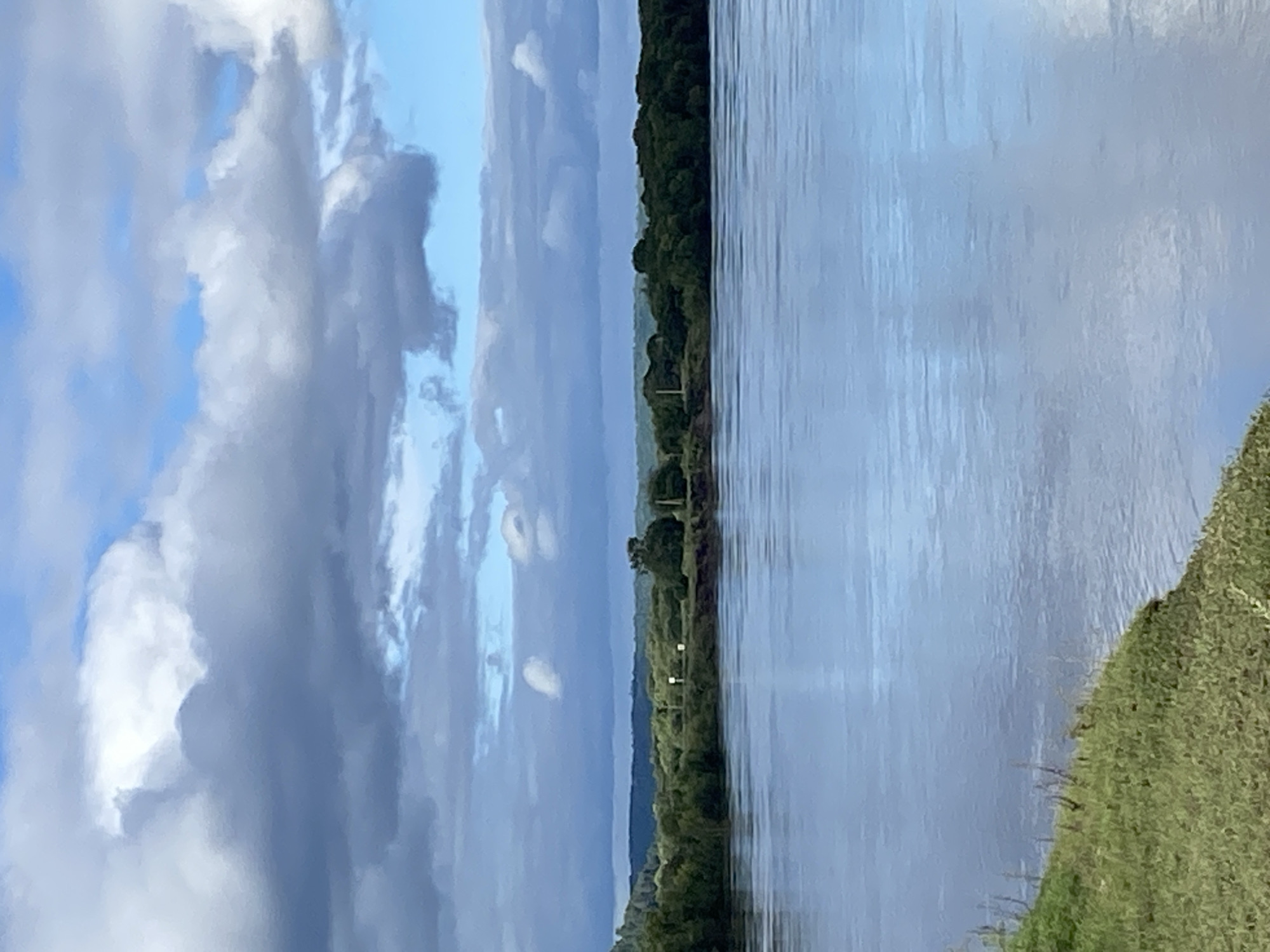 The image depicts a wide, calm river flowing through a natural landscape. The foreground on the left side of the frame shows a grassy embankment. The river occupies the majority of the lower half of the image, with its surface reflecting the sky. Across the river, a dense line of green trees forms the distant shoreline, backed by rolling hills under a sky filled with a mixture of dark and light clouds. Two vertical poles with what appear to be lights are visible on the distant shore amidst the trees. The scene is devoid of any people or visible human activity, presenting a serene, undeveloped natural environment. The location is identified as the city of Черняево, Russia.