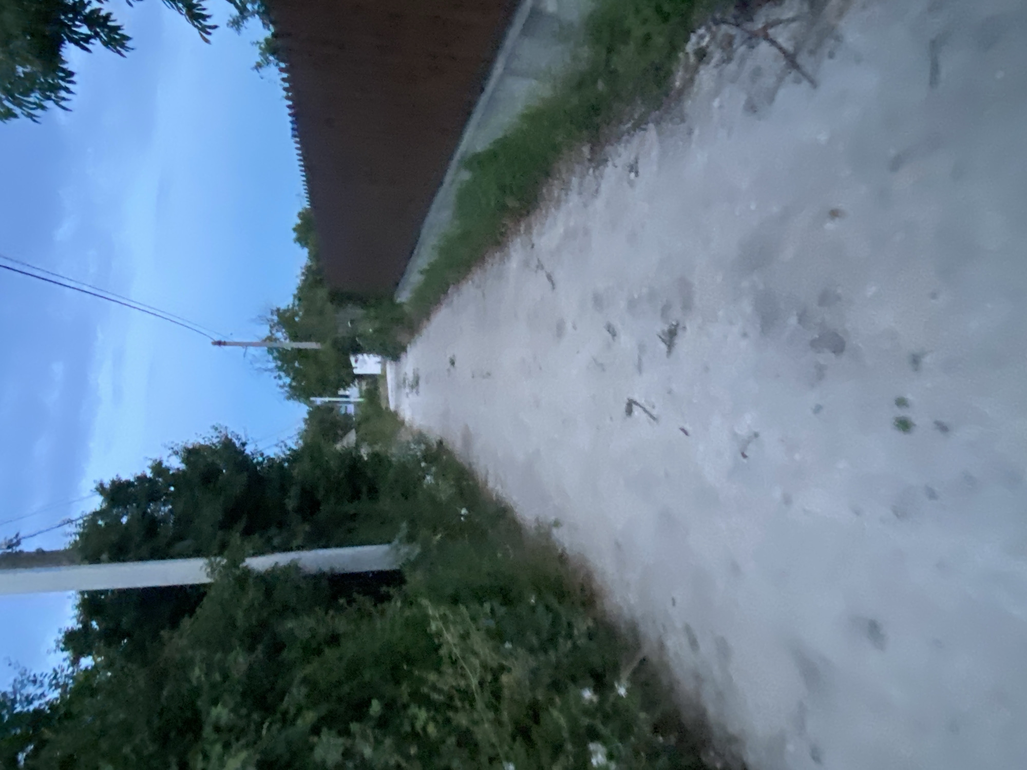 The image depicts a dirt road in Horodca, Moldova, at dusk. The road is narrow and appears to be unpaved, with loose dirt and gravel. On the left side of the road, there is dense foliage and trees. A white utility pole stands prominently amidst the greenery. On the right side of the road, a tall, dark brown fence runs along its length, separating the road from what is likely a property. The sky is a deep blue, indicating the transition from day to night, with some clouds visible. The lighting is dim, casting soft shadows. There are no people visible in the image. The scene suggests a rural or semi-rural setting.