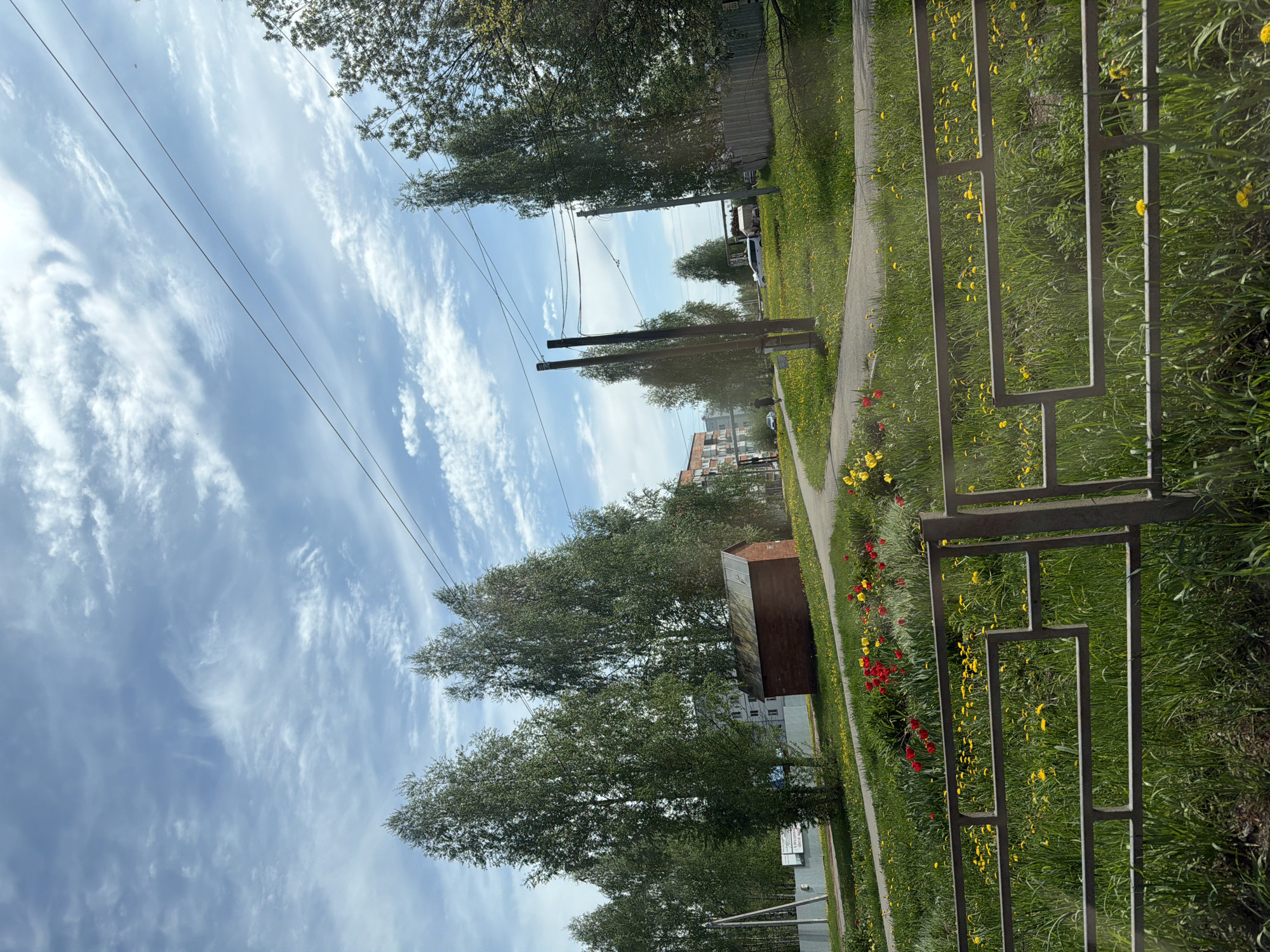 The image presents a scene in what appears to be a residential area in Италмас, Russia. The view is captured from ground level looking towards a street with a sidewalk. On the right, a weathered metal fence runs along a patch of grass dotted with yellow and a few red flowers. The ground is covered in a dense mix of grass and weeds.
A gray concrete sidewalk stretches along the right edge of the frame, dividing the grass and fence from the structures on the left. A small, brown, shed-like structure is visible, with taller residential buildings in the background.
Several trees line the street, their foliage obscuring some of the buildings and creating a sense of depth. Power lines crisscross the sky above the trees. The sky is a pale blue with scattered, wispy clouds.
The scene is quiet and typical of a residential area, with no people visible in the frame. The image conveys a sense of a peaceful, ordinary day.