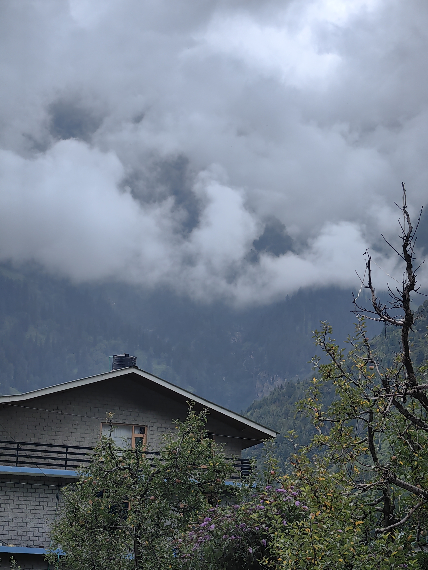 A house with a pitched roof and a black water tank is situated in the foreground of a mountainous landscape. The house is constructed of grey brick and features a balcony with black railings. Lush green trees with some fruit are visible in front of the house, along with some purple flowers. In the background, steep, tree-covered mountains rise towards a sky filled with thick, grey clouds. The scene suggests a rural or semi-rural setting, possibly in the foothills of a mountain range. The location is identified as Barheta, India.