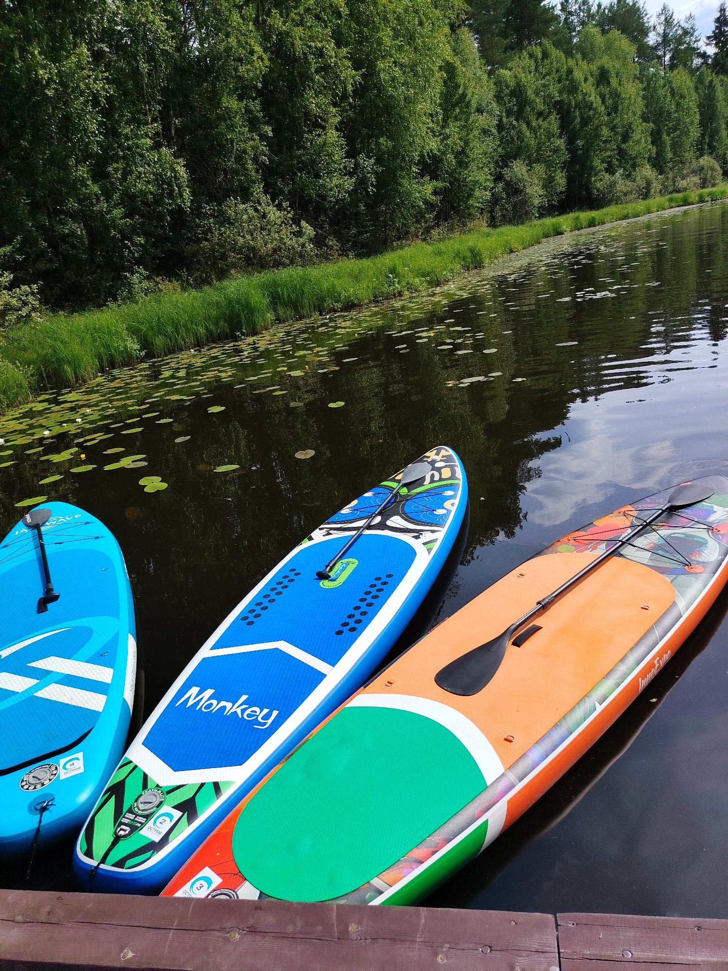 Three stand-up paddleboards are docked on a wooden pier. The paddleboards are blue, blue with a white graphic, and orange with a green section. The paddleboards are on dark water with lily pads. Trees and green reeds line the shore in the background. The location is identified as Vylytdor, Russia.