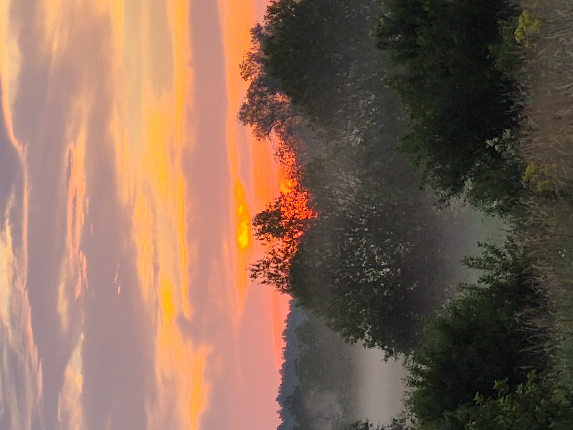 The image depicts a landscape scene at dawn or dusk. The sky is filled with vibrant hues of orange, yellow, and pink, with wispy clouds. In the foreground, silhouetted trees and foliage are visible, with a layer of mist or fog clinging to the lower parts of the landscape, obscuring the ground in places. The overall impression is one of natural beauty and tranquility. The location is identified as Sooblase, Estonia. There are no people or discernible actions depicted in the image.