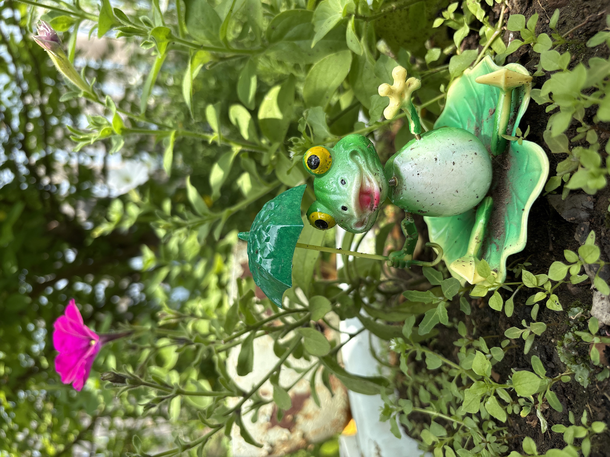 A metal figurine of a frog, painted green with yellow eyes and a pink mouth, stands on a green leaf-shaped base in a garden. The frog is holding a green umbrella over its head with one hand, and its other hand is outstretched. It is surrounded by lush green foliage and a bright pink petunia flower. The background is blurred, showing more greenery and hints of sunlight. There is no indication of the location in the city of Bratsk, Russia.