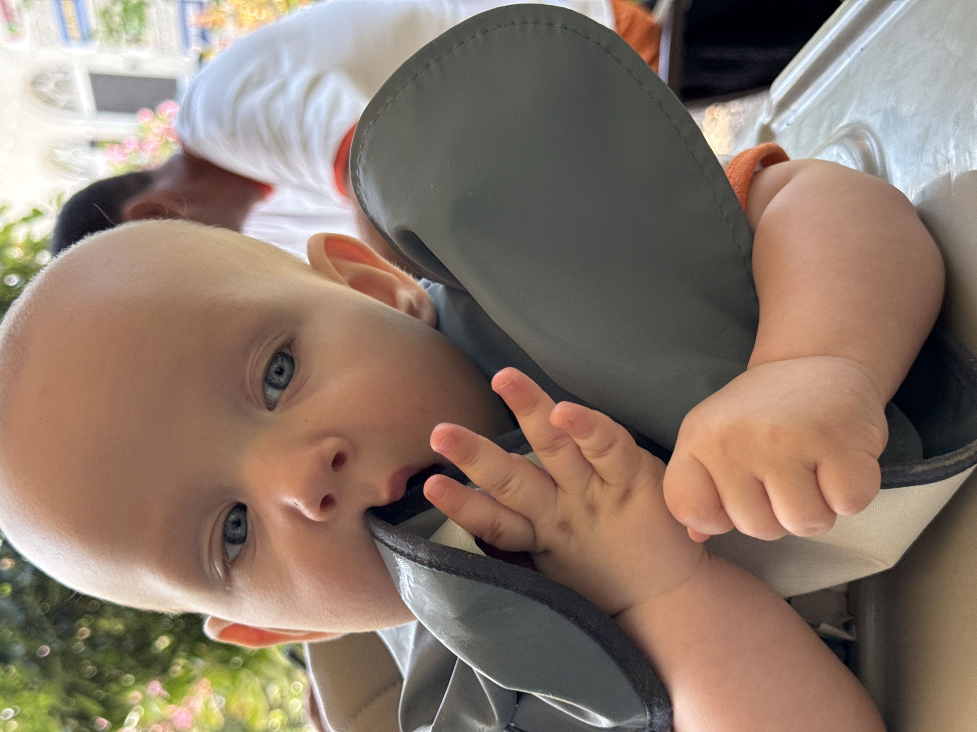 In this close-up, vertically oriented photograph, a baby is the central subject. The baby, with pale skin and striking blue eyes, is positioned in what appears to be a high chair. The baby is looking directly at the camera with a curious expression. The baby's mouth is open, with fingers near the mouth, suggesting it may be teething or playing with the bib. The baby is wearing an orange-trimmed garment, possibly a bib or part of a shirt.
Behind the baby, a person wearing a white shirt is partially visible, leaning forward. The background is softly blurred, featuring green foliage and hints of pink flowers, indicating an outdoor setting. The lighting suggests it is daytime, possibly sunny, as indicated by the bright highlights and soft shadows. The presence of foliage and the general ambiance suggest a pleasant, possibly warm, day.
The overall impression is one of a candid moment captured during a meal or outing with family. The focus is sharply on the baby's face and hands, highlighting its innocence and engaging presence. The scene appears to be casual and domestic. There is no visible text in the image. The location context of Sochi, Russia, suggests a potentially scenic and possibly seaside environment, though specific landmarks are not discernible.