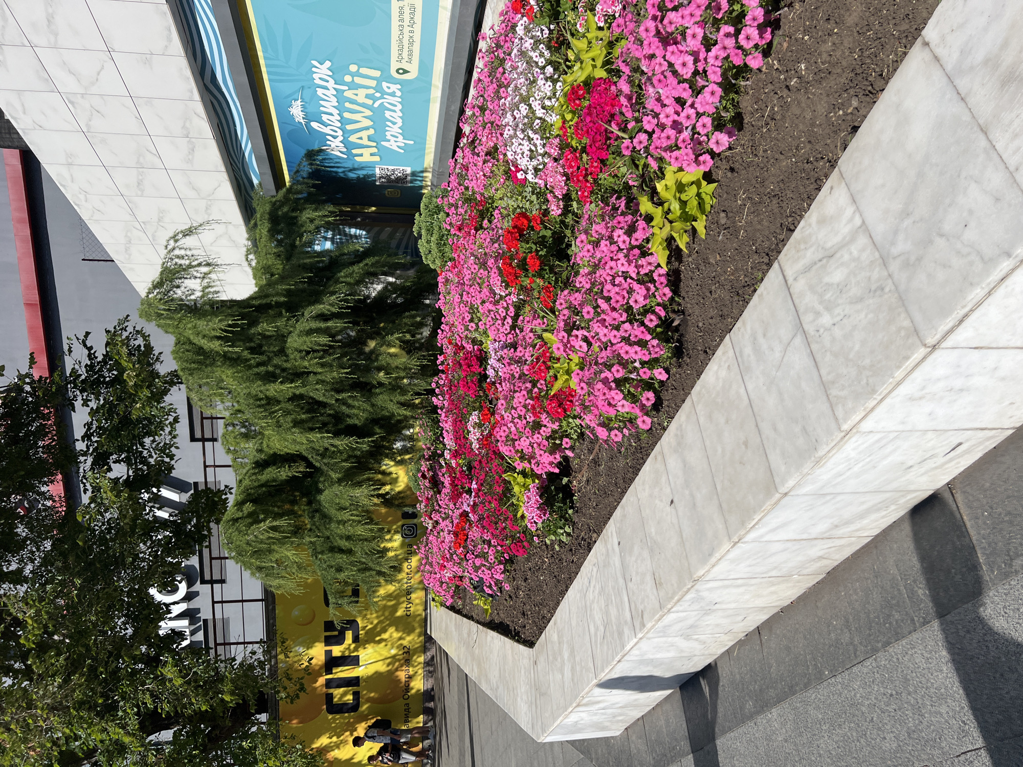 The image shows a well-maintained flower bed in front of a modern building in Odesa, Ukraine. The flower bed is filled with a dense arrangement of pink, red, and white petunias, interspersed with some bright green foliage. A white marble planter box borders the flower bed. In the background, a large yellow banner with black text that reads "CITY" is visible, along with part of a blue banner advertising "Aquapark HAWAII Arcadia." The building has a contemporary design with white tiled sections. Two individuals are walking on a paved walkway to the left of the flower bed. The scene is bathed in sunlight, casting shadows on the ground.