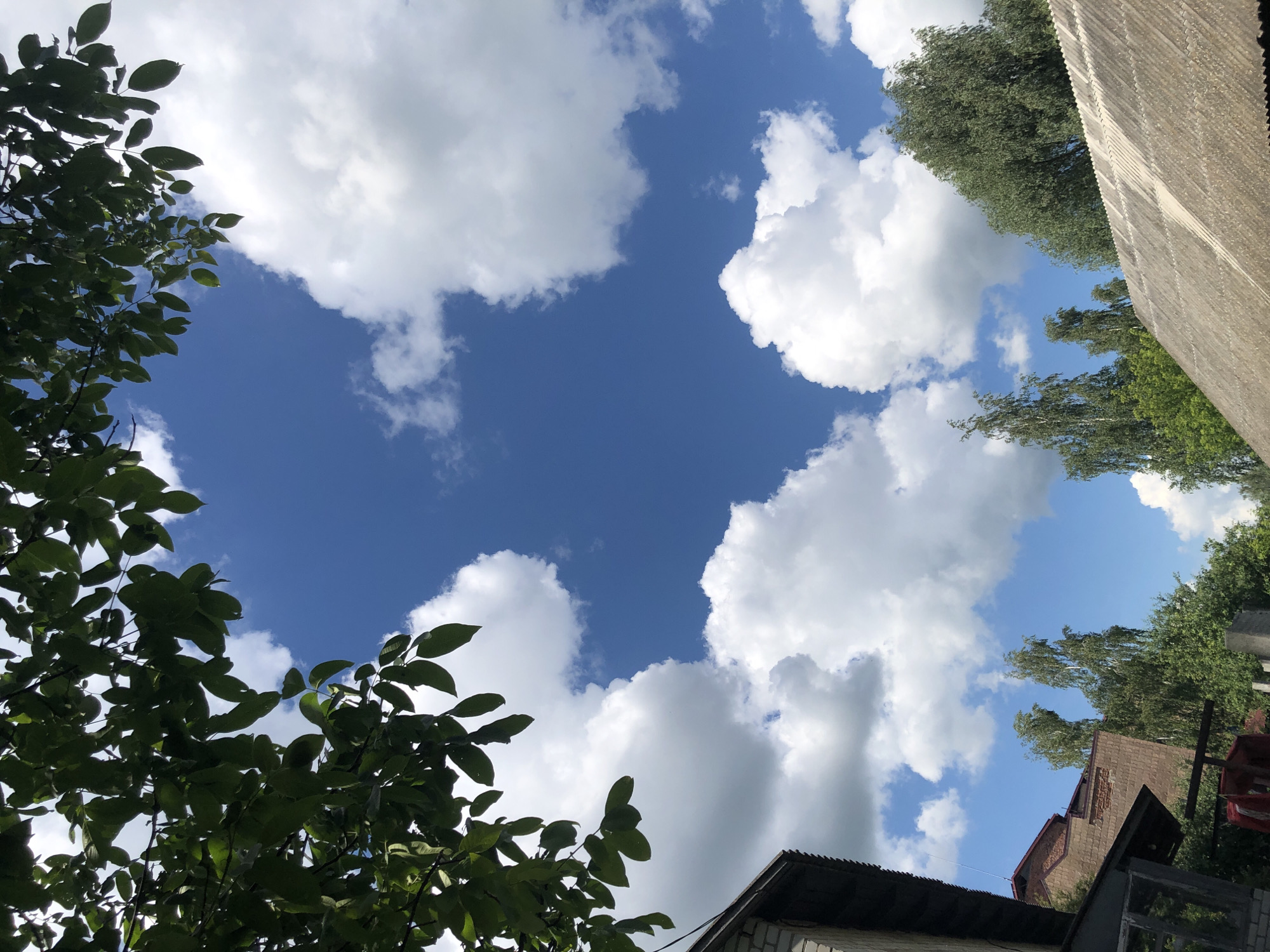 The image captures a skyward view from a suburban or rural setting, likely in Khmilnytsia, Ukraine, on a bright, cloudy day. Lush green leaves from an overhanging tree frame the top and left portions of the frame, casting subtle shadows. Below the foliage, a vibrant blue sky is populated by scattered, fluffy white cumulus clouds.
In the lower left quadrant, the corner of a brick building with a dark roof is visible, its angular structure contrasting with the organic shapes of the leaves and clouds. To the right of this building, a cluster of birch trees with slender trunks and wispy green foliage rises, their tops reaching towards the sky. Further to the right, a grey, corrugated roof, possibly belonging to a shed or outbuilding, extends across the lower right of the image, its weathered surface suggesting age and exposure to the elements. The overall impression is one of a peaceful, natural environment juxtaposed with man-made structures. There are no people or animals visible in the frame, and no specific actions or interactions are depicted.