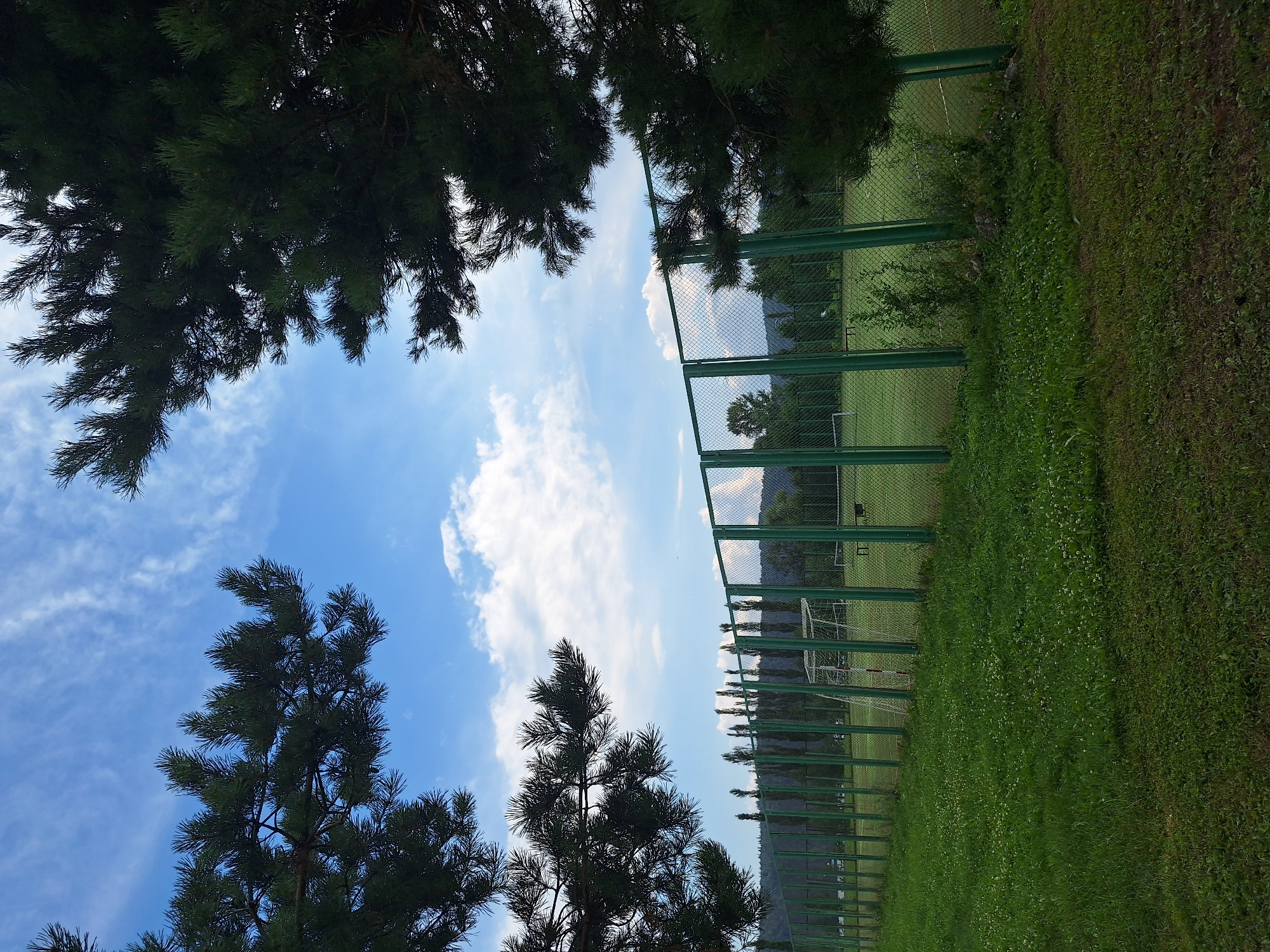 An outdoor, eye-level, wide-angle shot depicts a green soccer field enclosed by a tall, green metal fence. In the foreground, lush green grass is dotted with small white flowers. The soccer field is visible beyond the fence, with a soccer goal set up on the left side. Trees line the background, and a forested mountain range extends across the horizon under a bright blue sky with scattered white clouds. The image is framed by dark green pine branches in the top left and right corners.