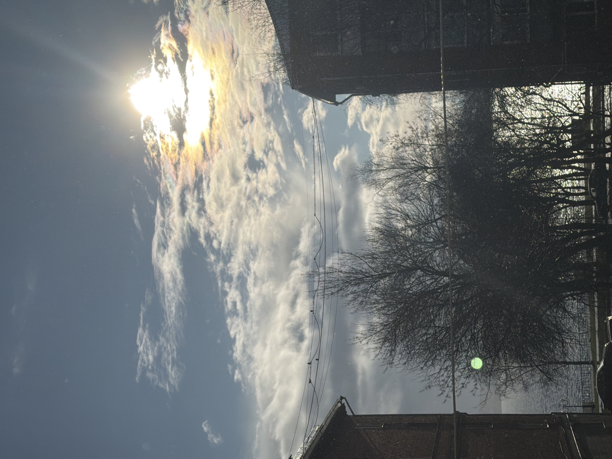 The image shows a view looking upwards towards the sky in Votkinsk, Russia. A bright sun shines through light clouds with rainbow iridescence. Trees with bare branches fill the right side of the frame. Power lines with several birds perched on them run across the middle. Buildings are visible at the top and bottom of the image.