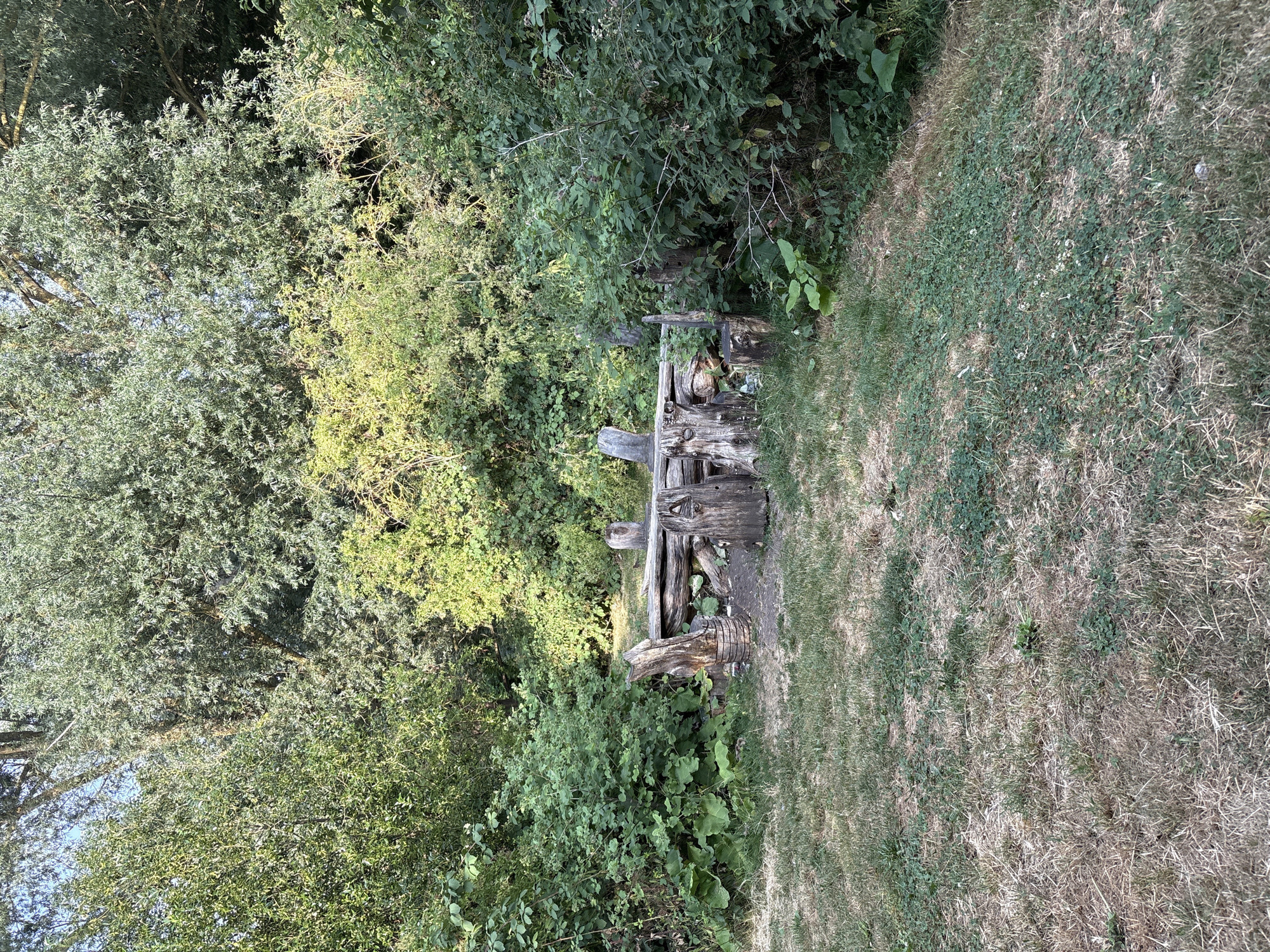 The image depicts a rustic outdoor seating area constructed from rough-hewn logs and stumps, situated in a natural, wooded environment. The furniture includes a table and seating, all appearing to be made from natural tree elements, some of which are weathered and aged. The area is surrounded by dense green foliage and trees, suggesting a park, woodland, or garden setting. The ground is covered with dry grass and some patches of green. The lighting suggests it is daytime, with sunlight filtering through the trees, creating dappled light and shadow. There are no people visible in the image. This scene is located in Chelmsford, United Kingdom, likely within a natural reserve or parkland area where such rustic installations are found.