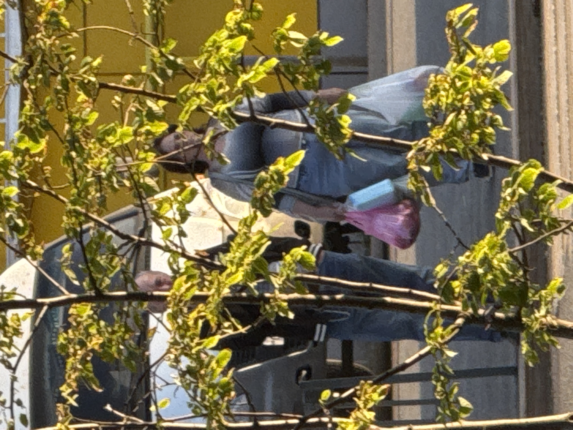 The image shows a person lying down, possibly sleeping or resting, on a balcony or patio. The person is covered with a light blue tarp or blanket, and their legs are visible, clad in blue jeans. A pink bag and a light blue object, possibly a book or a tablet, are placed near the person. The scene is framed by branches with fresh green leaves, suggesting it's spring or early summer. The sunlight filtering through the leaves indicates it's daytime, likely morning or afternoon. The background shows a yellow wall and a building with vertical siding, hinting at an urban or suburban setting. There is no visible text in the image. The overall impression is one of a peaceful, relaxed moment, perhaps during a warm day.