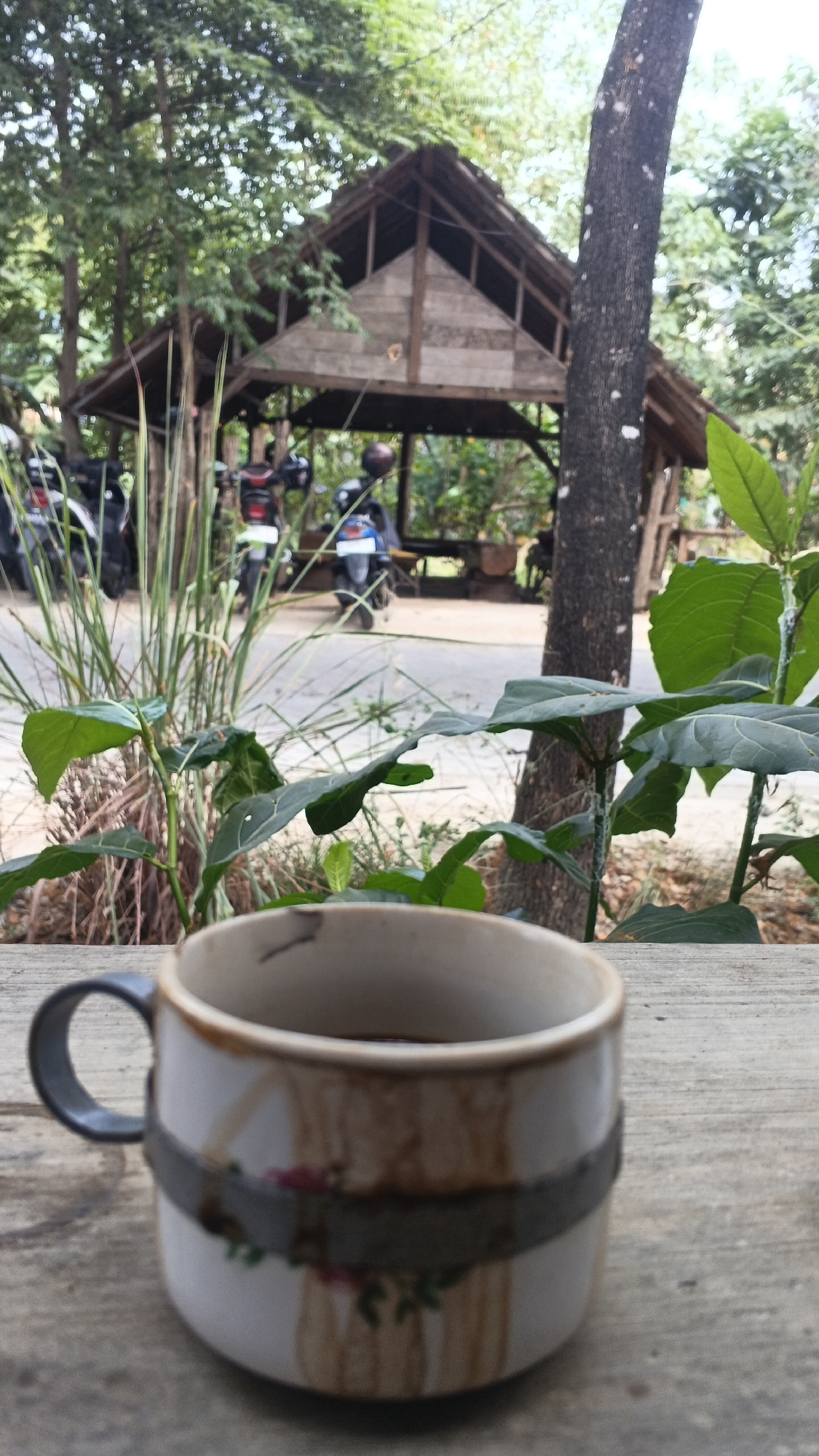 The image depicts a rustic outdoor setting, likely in Ngampel, Indonesia. In the foreground, a ceramic mug filled with a dark liquid rests on a weathered wooden surface. The mug is white with decorative elements, including what appears to be a band of grey material and faded floral patterns. Behind the mug, a variety of green foliage and dry grasses are visible, with a large tree trunk on the right side of the frame. In the mid-ground, a road or path is present, with several motorcycles parked along its edge. Further in the background, a wooden structure with a thatched roof, resembling a gazebo or a small shelter, is situated amongst trees. The overall atmosphere suggests a tranquil, natural environment.