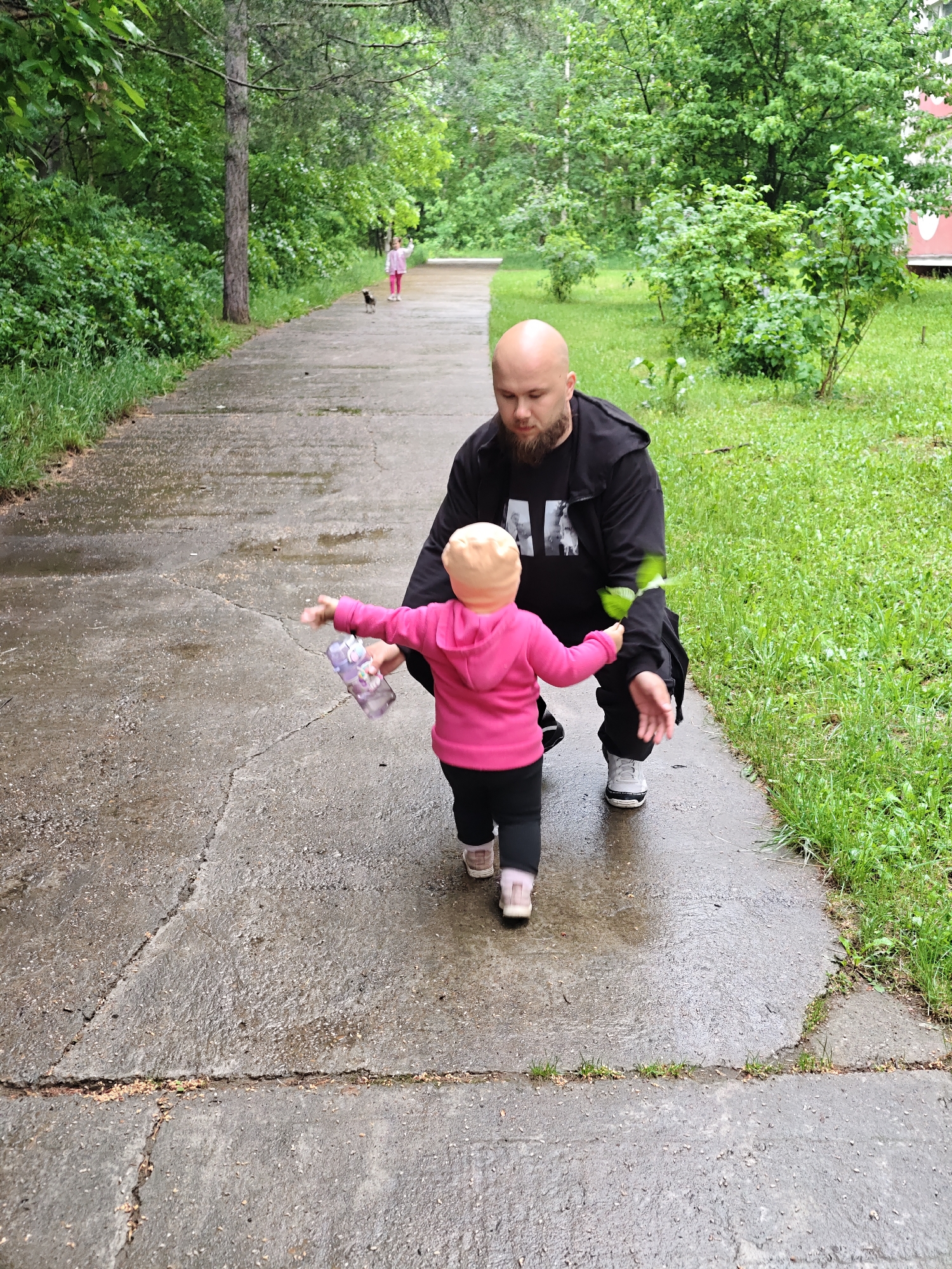 The image captures an outdoor scene on a wet concrete path, likely in a park or residential area in Chaikovsky, Russia. In the foreground, a bald man with a beard, wearing a black hooded top and black pants, crouches down, facing a small toddler. The toddler wears a pink hooded top, black pants, and a light-colored hat, and holds a plastic water bottle with outstretched arms, seemingly taking steps towards the man.
The concrete path is visibly damp, indicating recent rain. Lush green trees, bushes, and grass line both sides of the path, suggesting a verdant environment. Further down the path, another child in a pink top and light pants is visible, accompanied by a small dark dog, also walking or playing. In the far background, a building partially obscured by foliage can be seen.
The activity central to the image is the man engaging with and encouraging the toddler, possibly during a learning-to-walk moment. The setting suggests a calm, overcast day following a rainfall. A white graphic or text is partially visible on the man's black top, showing characters that might be "AK".