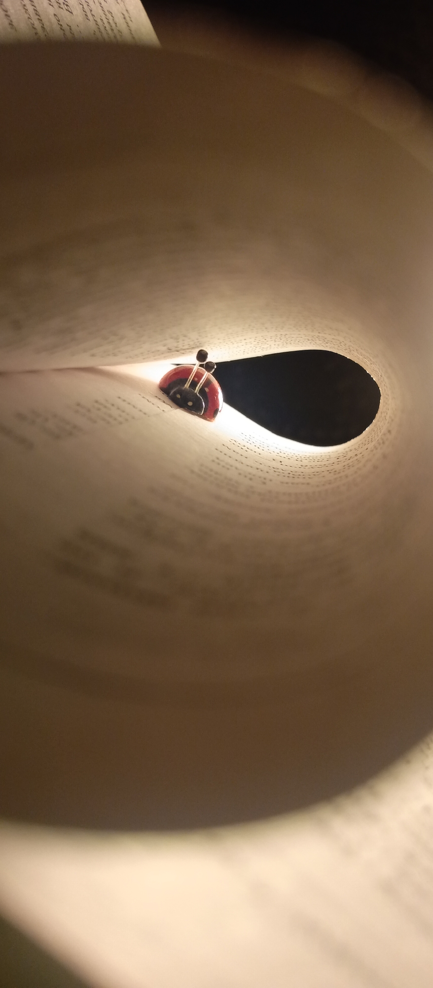 The image presents a unique, low-angle perspective looking down the spine of an open book. The book's creamy-white pages are strongly curved, forming a deep, tunnel-like aperture. At the illuminated entrance of this textual tunnel, a small, red and black ladybug-shaped bookmark is prominently featured. The ladybug has distinct black spots and two small black antennae. The pages are covered in printed text, which, upon closer inspection, appears to be in a Cyrillic script, though individual words are largely unreadable due to the curvature and depth of field. The lighting is warm and soft, casting a gentle glow on the pages and the bookmark, while the background beyond the pages and deeper into the "tunnel" is a dark, undefined space. The scene evokes a quiet, intimate moment of reading or marking a place in a book, likely taking place indoors, possibly in a dimly lit room or during the evening due to the focused illumination.