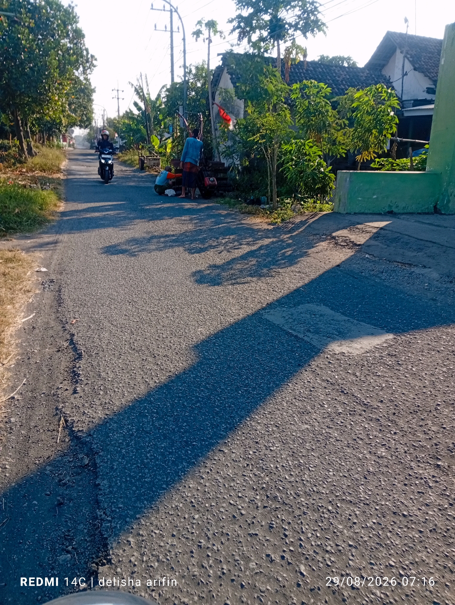 The image depicts a street scene in Plinggisan, Indonesia, bathed in the warm light of what appears to be early morning or late afternoon. A paved road, showing signs of wear with some cracks and patches, winds through a rural or semi-rural environment. Lush green trees line the left side of the road, with tall grass growing alongside. On the right side, a house with a dark tiled roof and white walls is visible, partially obscured by dense foliage. A vibrant green structure, possibly a wall or barrier, stands prominently in the foreground on the right.
In the middle ground of the image, a person is riding a motorcycle, wearing a helmet and dark clothing. Further down the road, near the house, two individuals are engaged in an activity. One person, wearing a blue shirt and a red and white sarong, stands near what looks like a small agricultural machine. Another person, in an orange and blue shirt, is crouching down beside them, possibly attending to the machine or something on the ground. Red and white Indonesian flags are visible attached to a pole near the house, suggesting a local event or patriotism.
The road is largely empty, with the exception of the motorcycle and the two stationary individuals. Shadows from trees and possibly other unseen objects are cast across the road, indicating the direction of the sun. The overall impression is a quiet, everyday scene in a village setting in Indonesia. The timestamp in the bottom right corner indicates "29/08/2026 07:16" and the text "REDMI 14C | delisha arifin" is present in the bottom left corner.