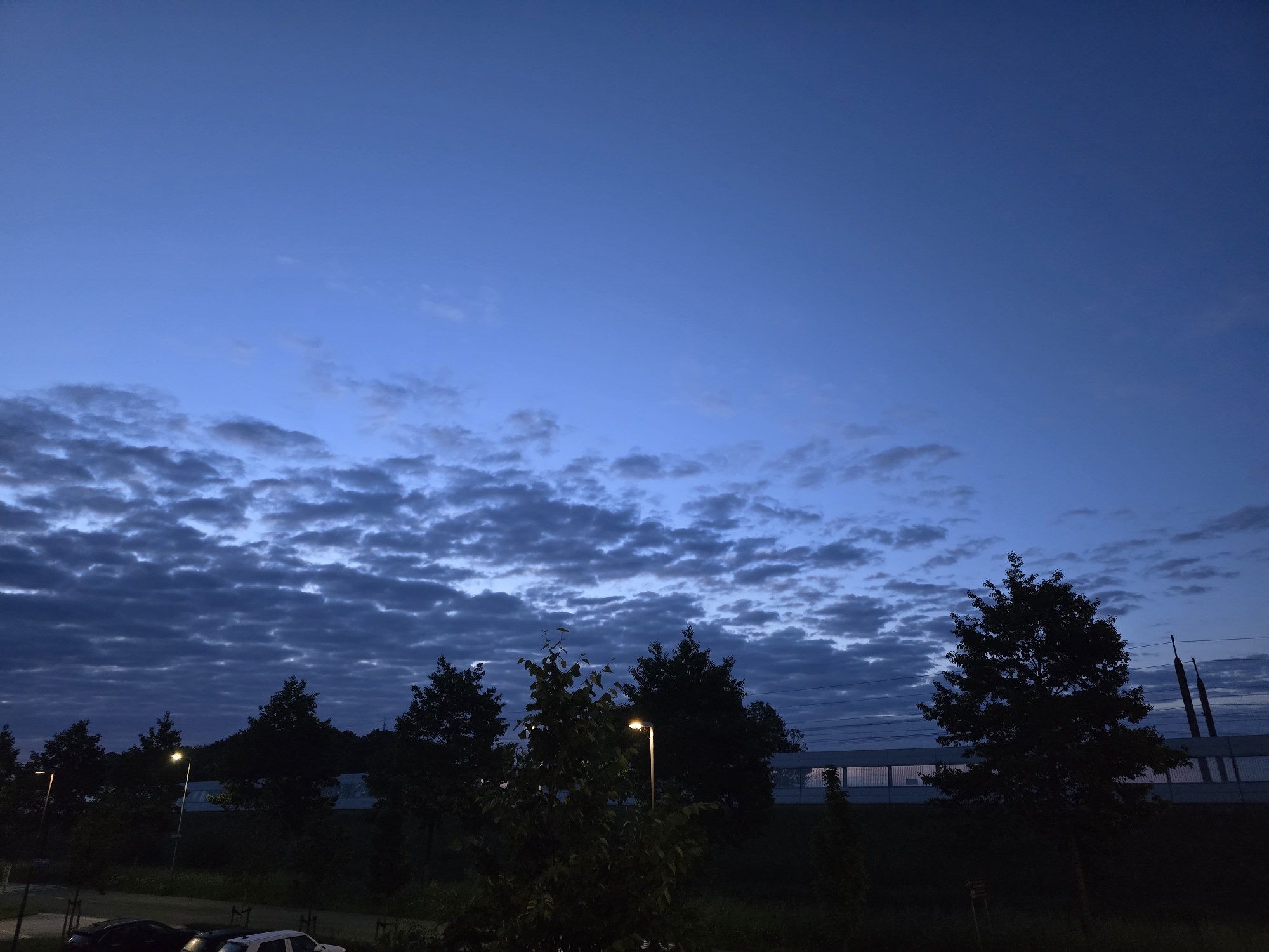 The image depicts a twilight scene with a view over a residential area in Zoetermeer, Netherlands. A row of trees, some illuminated by streetlights, are silhouetted against a sky filled with altocumulus clouds. The sky transitions from a darker blue near the horizon to a lighter shade overhead. In the lower left corner, two cars are visible. In the background, a building with a repetitive window pattern can be seen. A pair of overhead electricity pylons stand at the very right side of the frame.