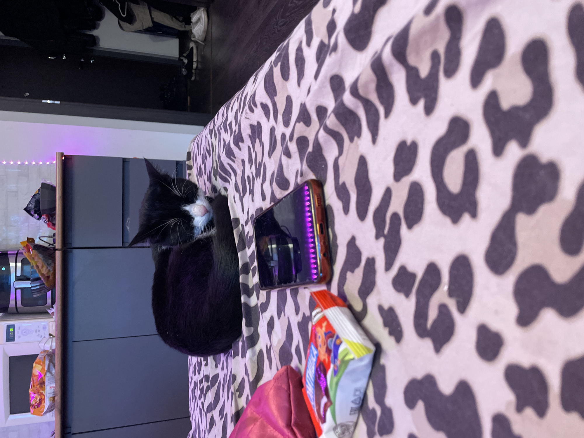 A black and white cat is sleeping curled up on a leopard-print bedspread. Next to the cat, there is a smartphone with a purple light emanating from its charging port, and a candy bar. In the background, a microwave and an air fryer are visible on a kitchen counter. The room appears to be a bedroom with clothing hanging on a door in the far right of the image. The scene is indoors.