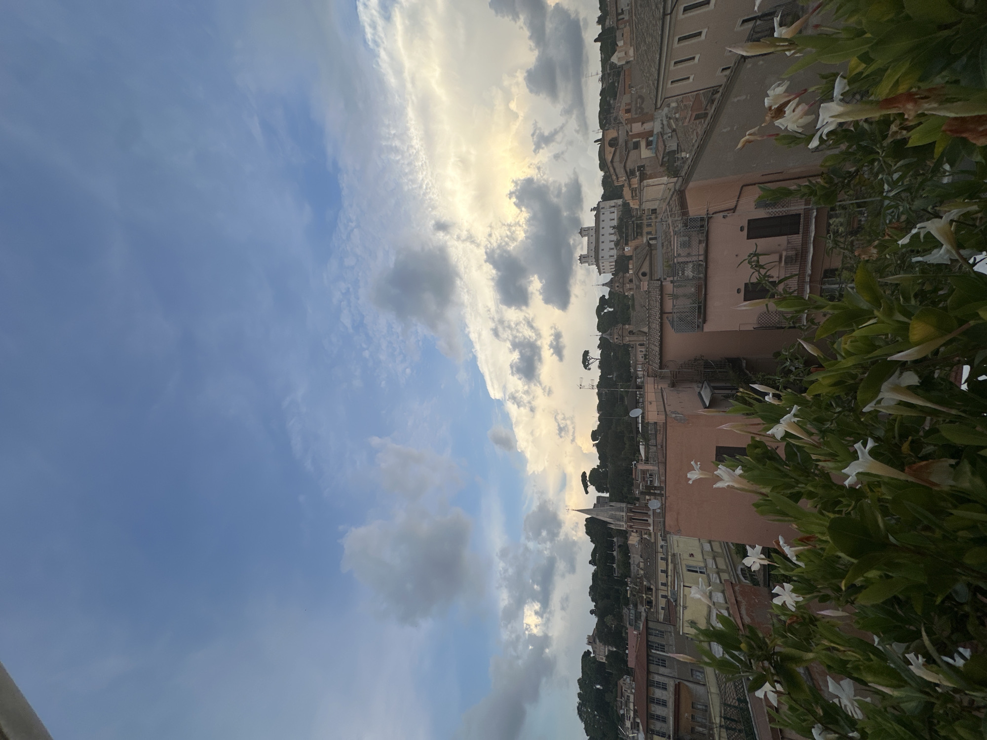 The image depicts a rooftop view of Rome, Italy, with a focus on the skyline and the sky. In the foreground, lush green foliage with white flowers and buds is visible, framing the scene. Beyond the foliage, a panorama of terracotta-roofed buildings unfolds, characterized by varying shades of pink, ochre, and beige. A prominent church spire with a pointed roof rises from the cityscape, and further in the distance, a large white building, possibly a palace or a significant structure, is discernible against the hilly terrain. The sky above is a dramatic canvas of blue, punctuated by a mixture of soft, wispy clouds and larger, more voluminous formations, some of which are illuminated by a warm, golden light, suggesting either sunrise or sunset. The overall atmosphere is serene, with a hint of the characteristic Roman urban landscape. There are no people visible in the image.