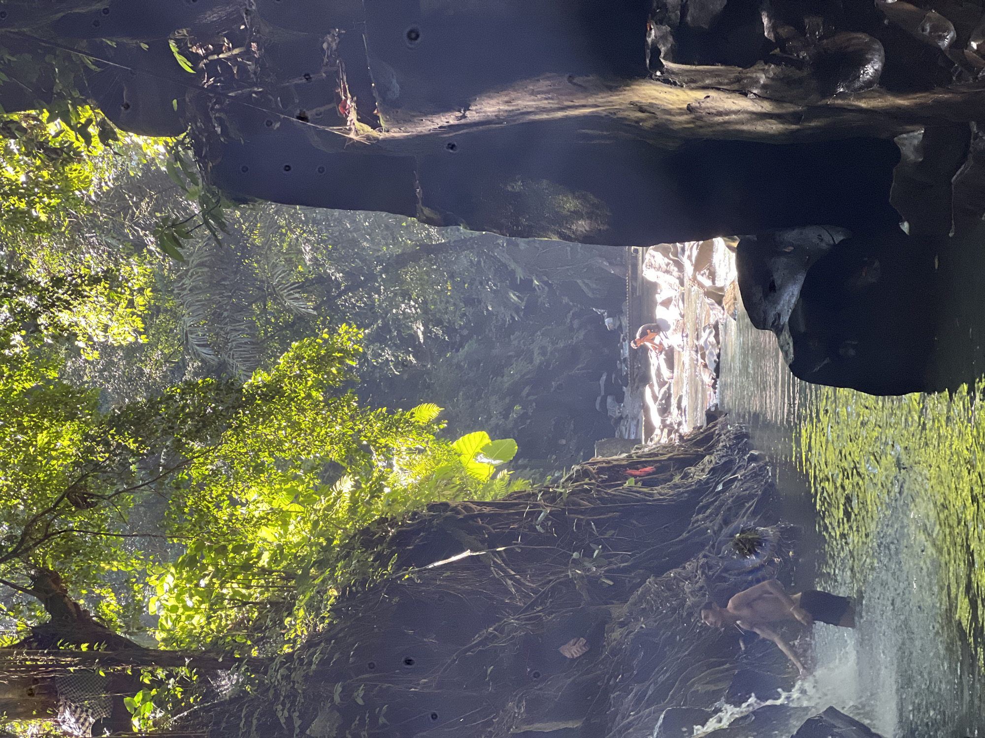 A vibrant, vertically oriented image captures a dramatic natural gorge or canyon, likely in a tropical environment. Towering, dark, rugged rock formations define the scene, with abundant, lush green foliage, trees, and hanging roots clinging to the steep walls and canopy overhead. Bright, dappled sunlight filters through gaps, illuminating the vibrant greenery and creating shafts of light that pierce the shadowed areas.
In the mid-ground and background, water flows through the gorge, forming a natural pool or river. Several people are visible in and around the water. In the foreground-right, a shirtless man in dark shorts is captured leaning into splashing water, possibly from a small cascade or waterfall, appearing to be enjoying the cool water. Further back, in a brighter section of the gorge, another individual and possibly more figures are seen near a rock formation, interacting with the flowing water.
The scene depicts a serene yet adventurous atmosphere, with individuals enjoying the natural beauty of the secluded waterway. The strong contrast between the sunlit areas and the deep shadows of the rock faces highlights the depth and enclosed nature of the location. No discernible text is visible in the image.