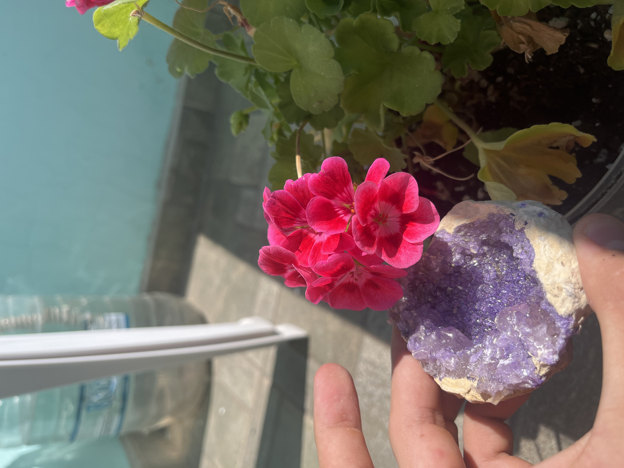 A close-up shot shows a person's hand holding a purple geode crystal next to a cluster of bright pink geranium flowers. The background is blurred, but appears to be an outdoor setting with a light blue surface, possibly water, and a grey, tiled area. The sunlight suggests it is daytime. The person's fingers are visible, supporting the geode. The geraniums are in focus, their petals delicate and vibrant. The geode is rough and textured on the outside, with sparkling purple crystals inside. The overall impression is one of natural beauty, with a contrast between the soft petals of the flowers and the hard, crystalline structure of the geode. The setting might be a garden or patio. There is no visible text in the image.
