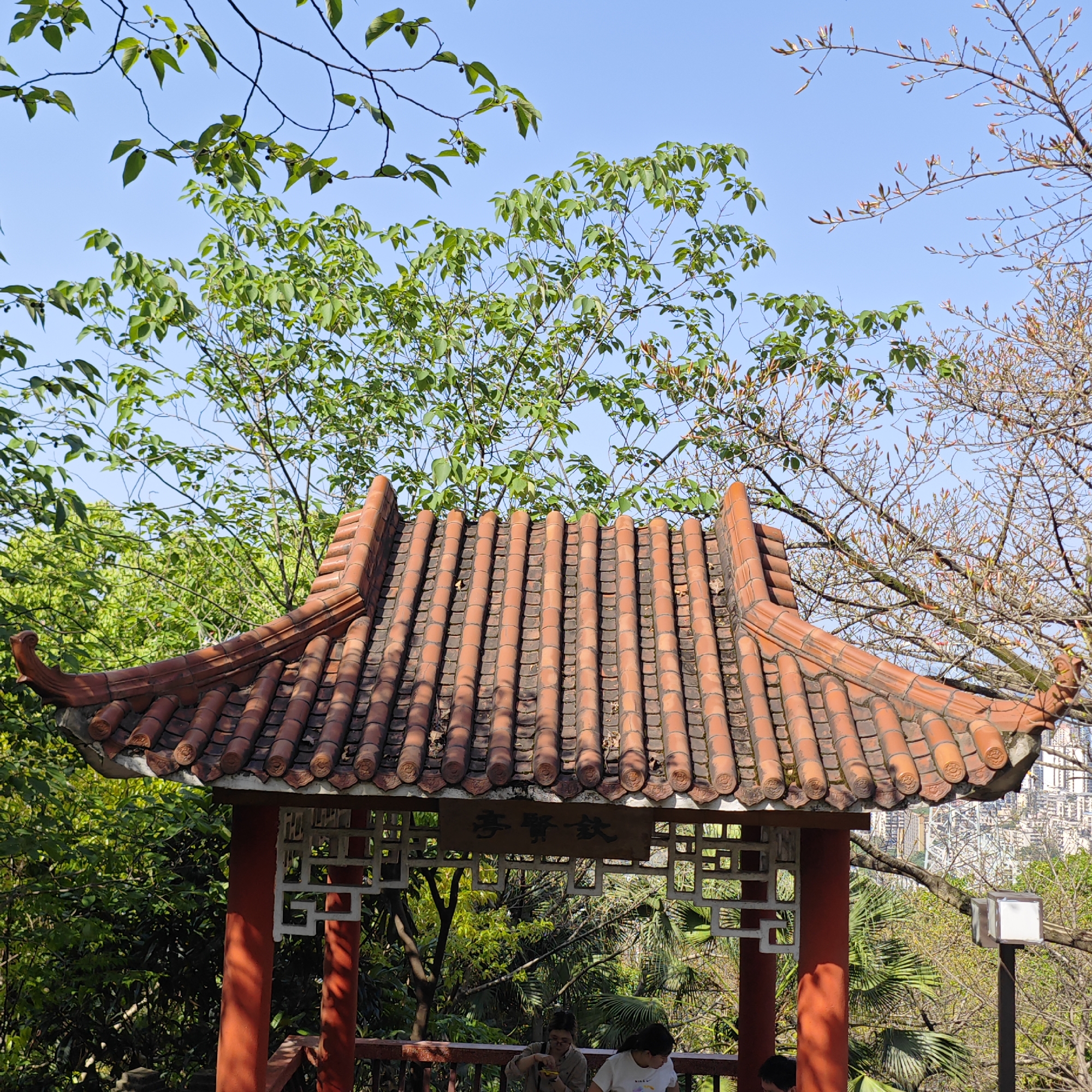 The image depicts a Chinese-style pavilion with a red tiled roof, surrounded by greenery and trees under a blue sky. The pavilion's structure features red columns and white decorative lattice panels. A sign with Chinese characters is visible above the entrance. People are present inside the pavilion, with at least two individuals seated and engaged in conversation or activities. The setting appears to be in a park or garden, with dense foliage in the background. A glimpse of a cityscape is visible in the distance, suggesting the location is in the Yuzhong District of China. A streetlight is seen on the side in the background.