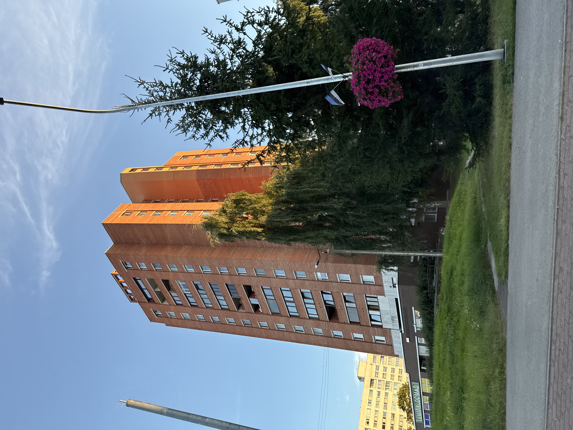 The image shows a tall, red brick apartment building in Tallinn, Estonia, under a clear blue sky with a few wispy clouds. The building has many windows and balconies. In the foreground, there is a grassy slope leading up to a lower part of the building that houses a shop with a sign reading "LEMMIKLOOMAD" (pets in Estonian) and a "CAFE" sign. To the right of the apartment building, a tall, slender metal lamppost is visible, adorned with a large hanging basket of vibrant pink flowers and two small Estonian flags. Behind the lamppost and to the right of the apartment building, there are large evergreen trees. Another, lighter-colored apartment building is visible in the background to the left. The street in the immediate foreground appears to be paved with asphalt and cobbles. The sun appears to be low in the sky, casting warm light on the building and suggesting it is either early morning or late afternoon.