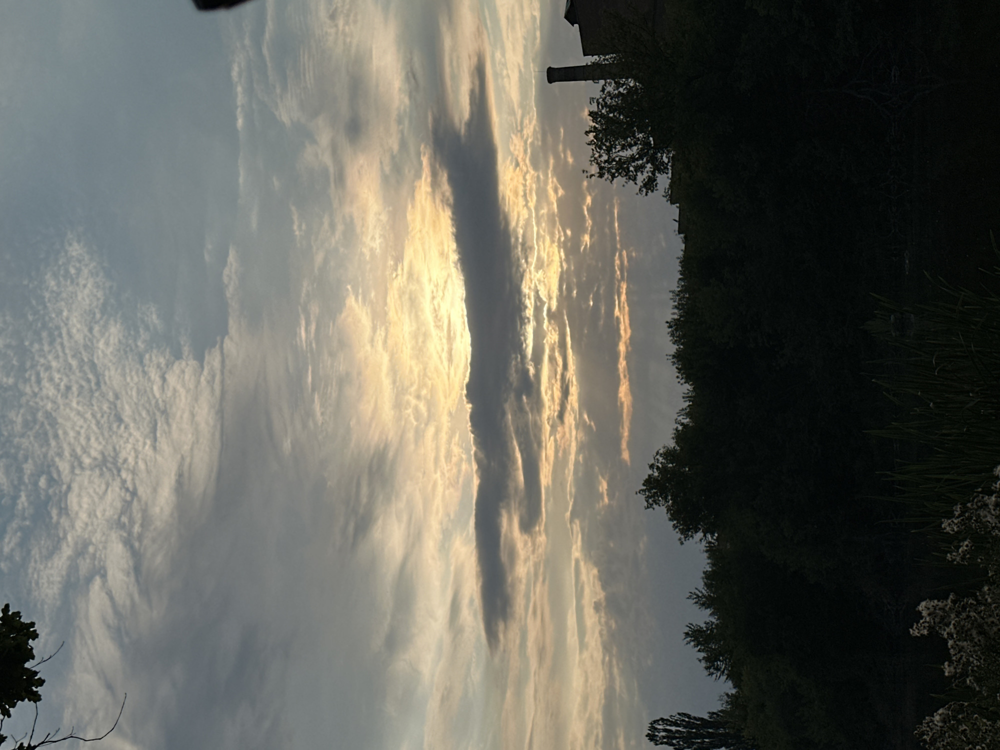 The image depicts a silhouetted landscape against a dramatic sky during what appears to be sunset or sunrise. In the foreground, a dense line of dark trees and foliage stretches across the lower portion of the frame, with some lighter, feathery plants visible at the very bottom left and tall reeds or grasses on the right. Emerging from behind the trees on the right is the dark silhouette of a tall, cylindrical industrial chimney, and to its right, the corner of a dark building. On the left side of the frame, a single tall, slender tree stands out against the sky.
The sky is filled with a complex arrangement of clouds. Towards the top, there are wispy, textured clouds with a lighter gray hue. Lower down, a band of darker, more defined clouds runs horizontally across the scene, with shafts of golden light breaking through them, creating a luminous effect. The light appears to emanate from behind these clouds, suggesting the sun is either low on the horizon or obscured. A dark tree branch with leaves is visible in the upper left corner of the image, partially obscuring the sky. The overall impression is one of an industrial or semi-industrial area at the edge of a natural landscape, bathed in the atmospheric light of dawn or dusk. The location is specified as Makiv, Ukraine.