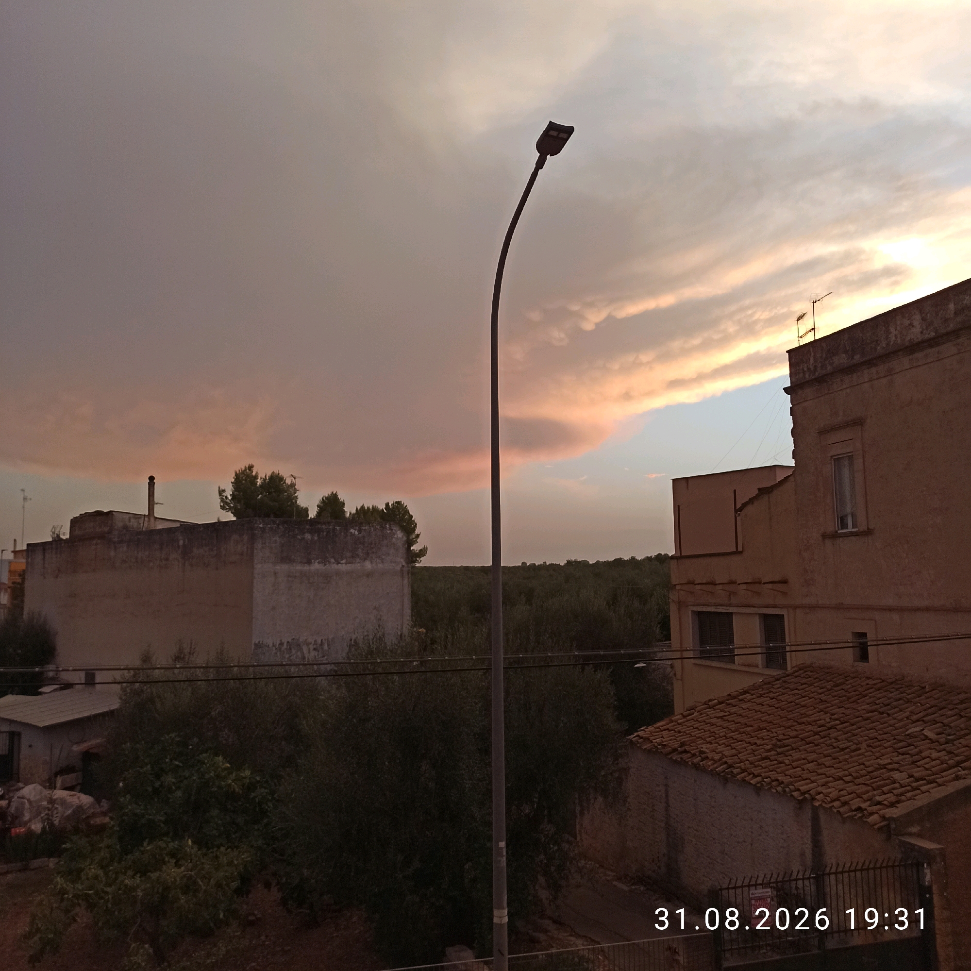 The image depicts an outdoor scene at dusk or dawn, characterized by a dramatic sky with colorful clouds in shades of pink, orange, and gray. A street lamp stands prominently in the foreground, its dark silhouette contrasting with the illuminated sky. In the background, several buildings are visible, including a light-colored structure with a red tile roof and another larger, weathered building with a flat top. A dense line of trees forms a backdrop across the middle ground. The scene appears to be in a residential or semi-rural area, with some indications of vegetation and possibly a small shed or outbuilding. A date and time stamp in the lower right corner reads "31.08.2026 19:31". The overall impression is one of a quiet evening in a European town, likely Bitonto, Italy, given the architectural style and vegetation. There are no people or animals visible in the image.
