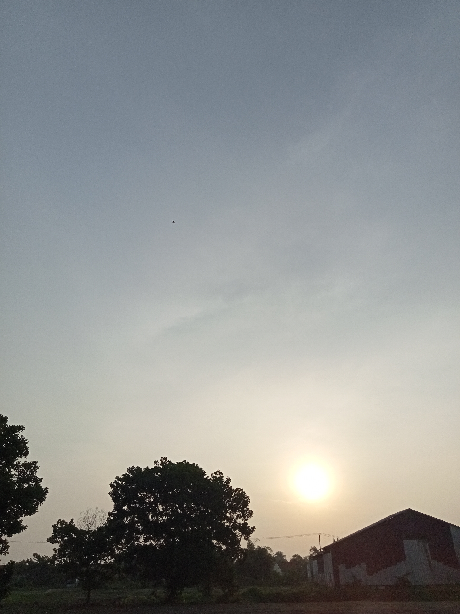 An outdoor, low-angle, full shot captures a hazy sunset over Teluk Kenidai, Indonesia. The sun, a bright orb, is partially obscured by atmospheric conditions and low-lying structures. Silhouetted against the sky are the dark forms of trees and a building with a corrugated metal roof. The building appears to be a warehouse or storage facility. In the sky, a solitary bird is visible in flight, high above the landscape. The overall impression is one of a quiet, rural evening.
