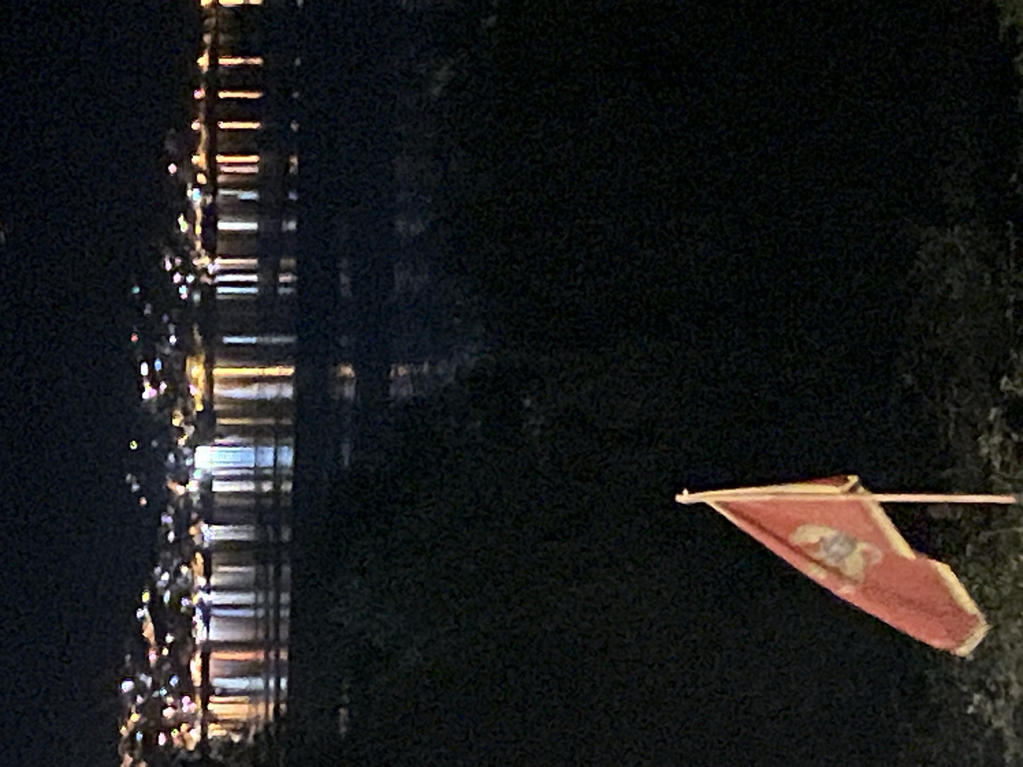 A wide shot taken at night shows a body of water with a town's lights reflecting on its surface. In the foreground, a red flag with a crest is displayed on a pole. The flag is tilted to the left and appears to be made of cloth. The background shows a densely lit town with numerous lights of various colors, including white, yellow, and pink, scattered across a hilly landscape. The reflections of these lights create a shimmering effect on the dark water. The foreground is dark, with some blurry vegetation visible at the bottom. The scene is likely captured from the shoreline of Baošići, Montenegro, given the typical coastal lighting and hilly terrain of the area. There are no people or animals visible in the image.
