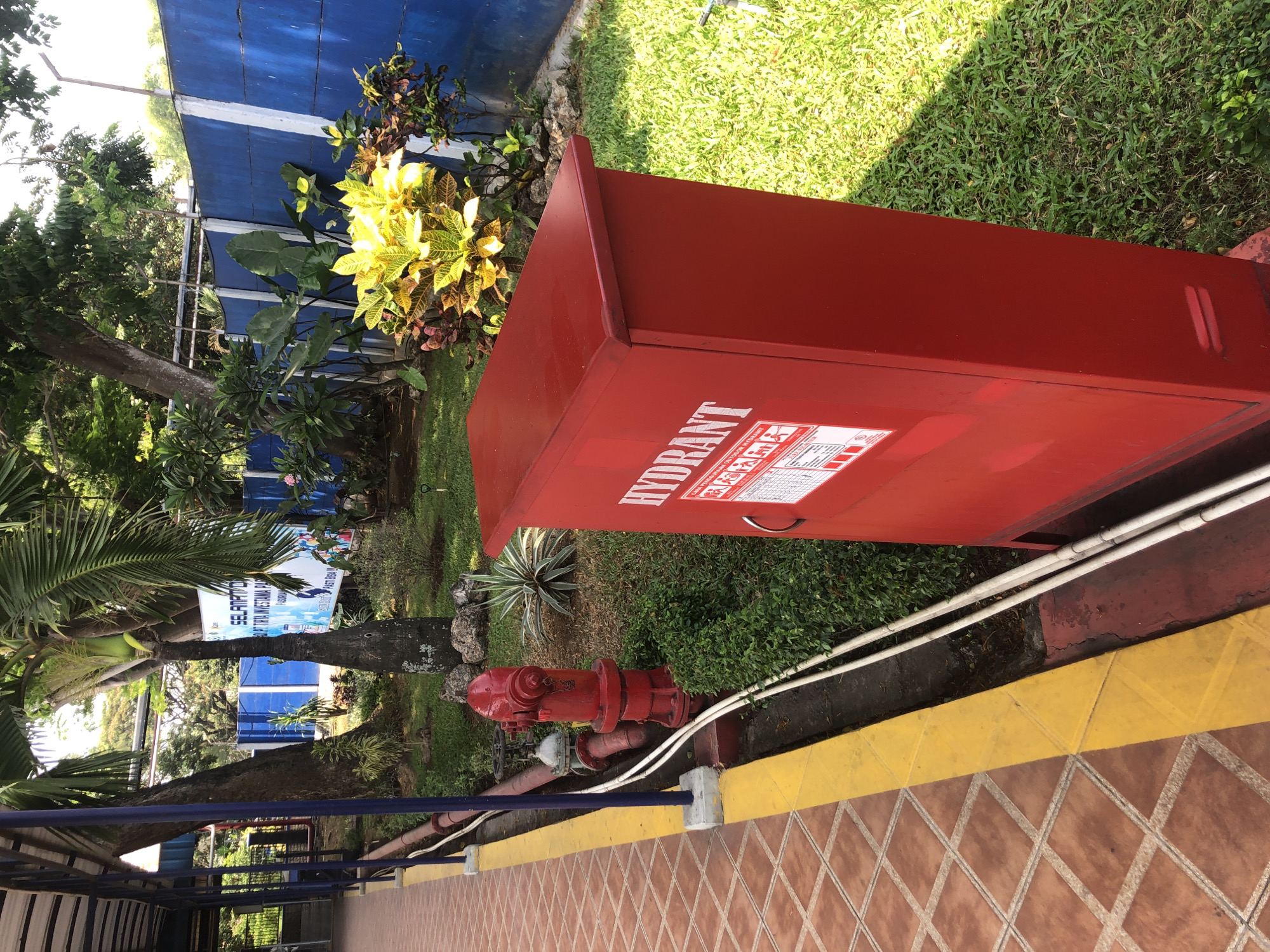 This image shows a fire hydrant and a red hydrant box located next to a walkway with terracotta tiles and a yellow border. The walkway is bordered by a grassy area with some bushes and plants, including a brightly colored croton plant. In the background, there is a bright blue wall with white trim, and trees with palm leaves are visible. A banner with Indonesian text is also present. The scene appears to be in a public outdoor area, possibly a park or a facility, given the presence of the banner and well-maintained landscaping. The location is identified as Wonojati, Indonesia.