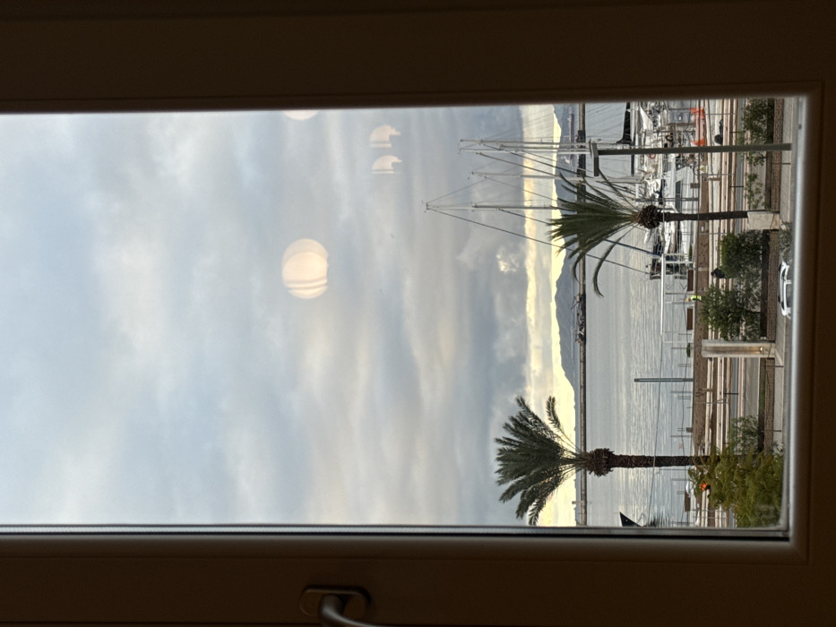 View from a window featuring two palm trees, a body of water, a distant mountain range, and numerous sailboats docked in a harbor. The sky is overcast with soft clouds and the light is diffused. The window frame is white and includes a handle in the lower left corner. The image is slightly out of focus, and there are some reflections on the glass.